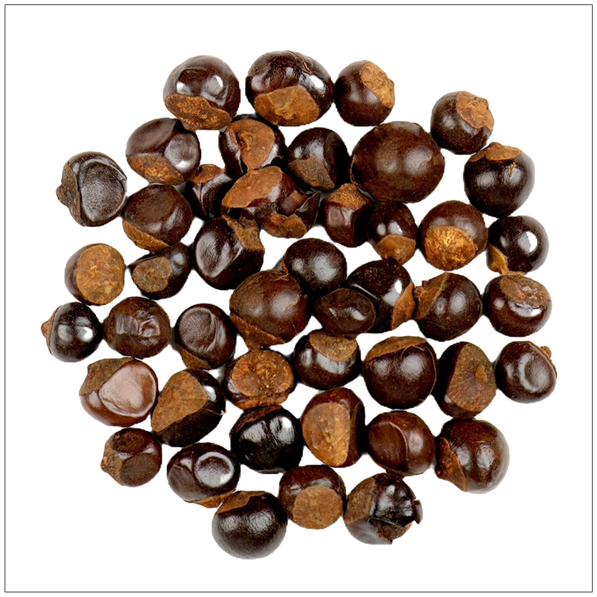 guarana plant seeds Guarana Seed