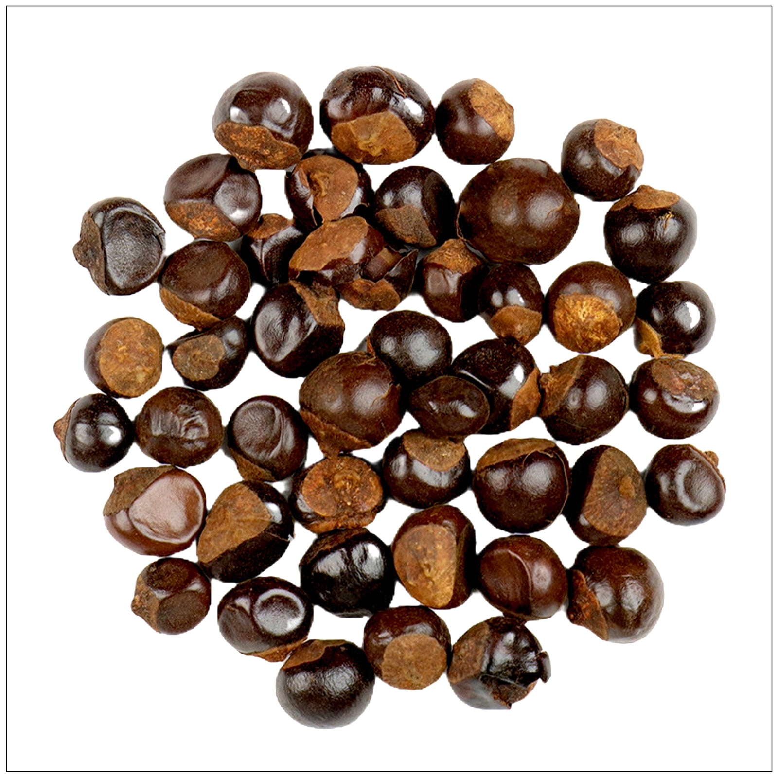 Dried guarana seeds rich in caffeine, used as a natural energy booster and focus enhancer.