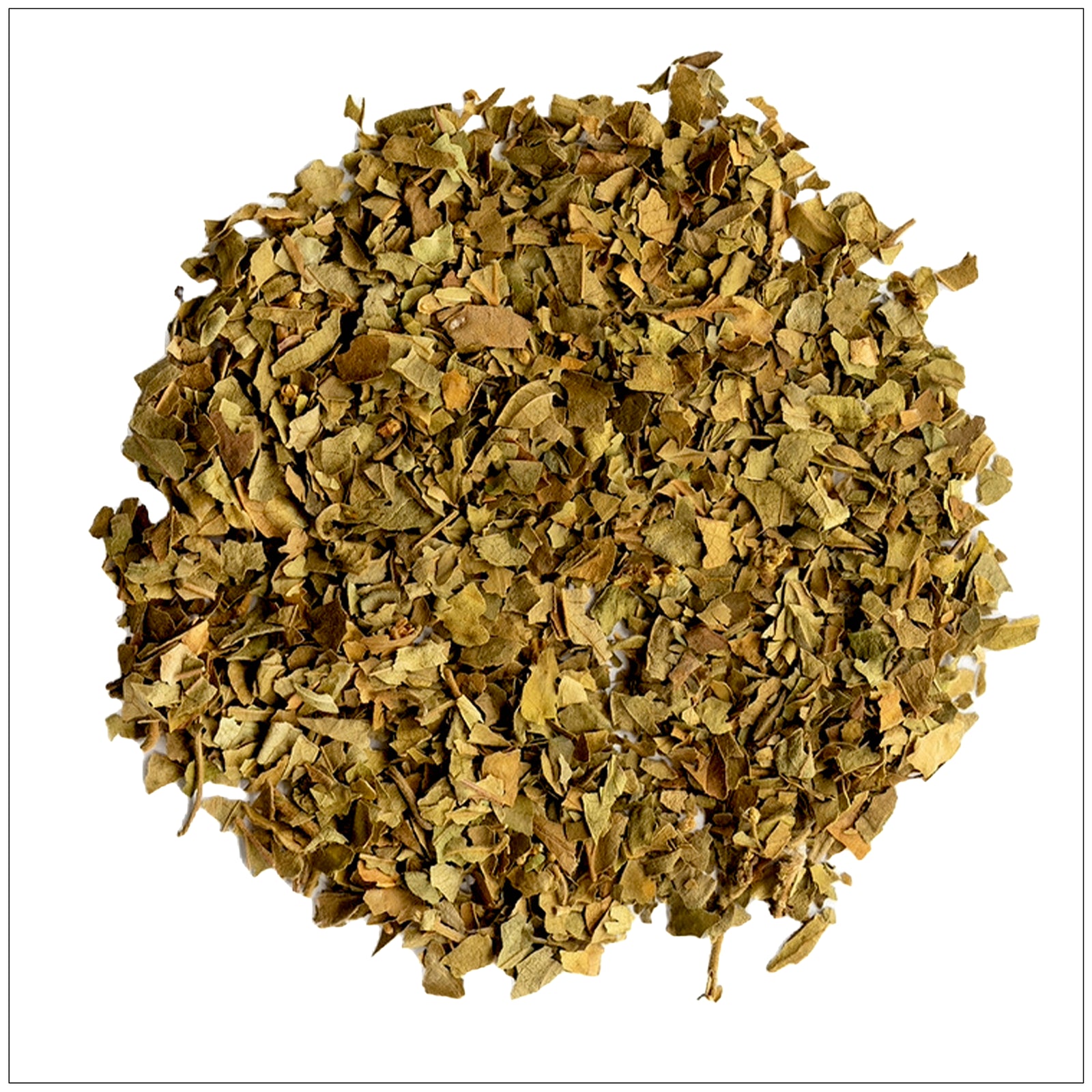 Dried Gymnema sylvestre leaves used in herbal supplements for sugar support and healthy metabolism.