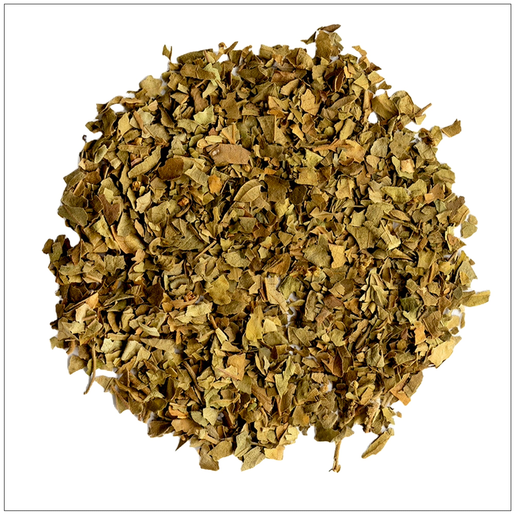Dried Gymnema sylvestre leaves used in herbal supplements for sugar support and healthy metabolism.