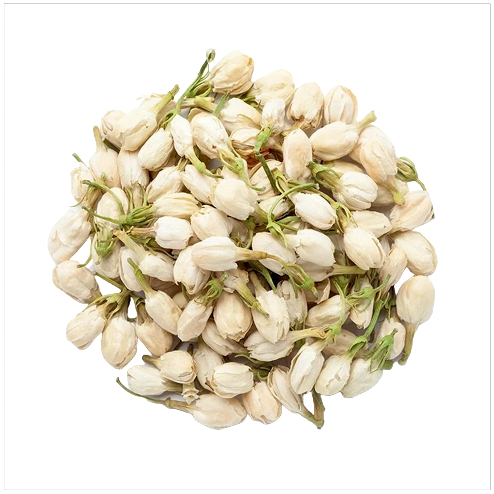 Close-up of blooming white jasmine flowers with green leaves in a sunny garden setting.