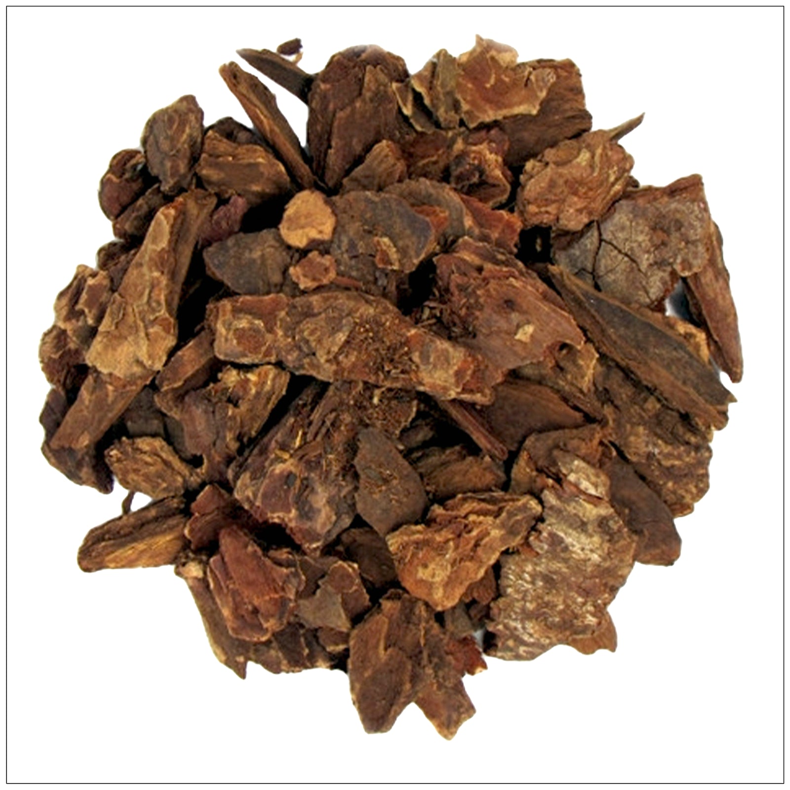 Dried Jezebel Root pieces used in spiritual rituals and traditional rootwork for attraction and power.