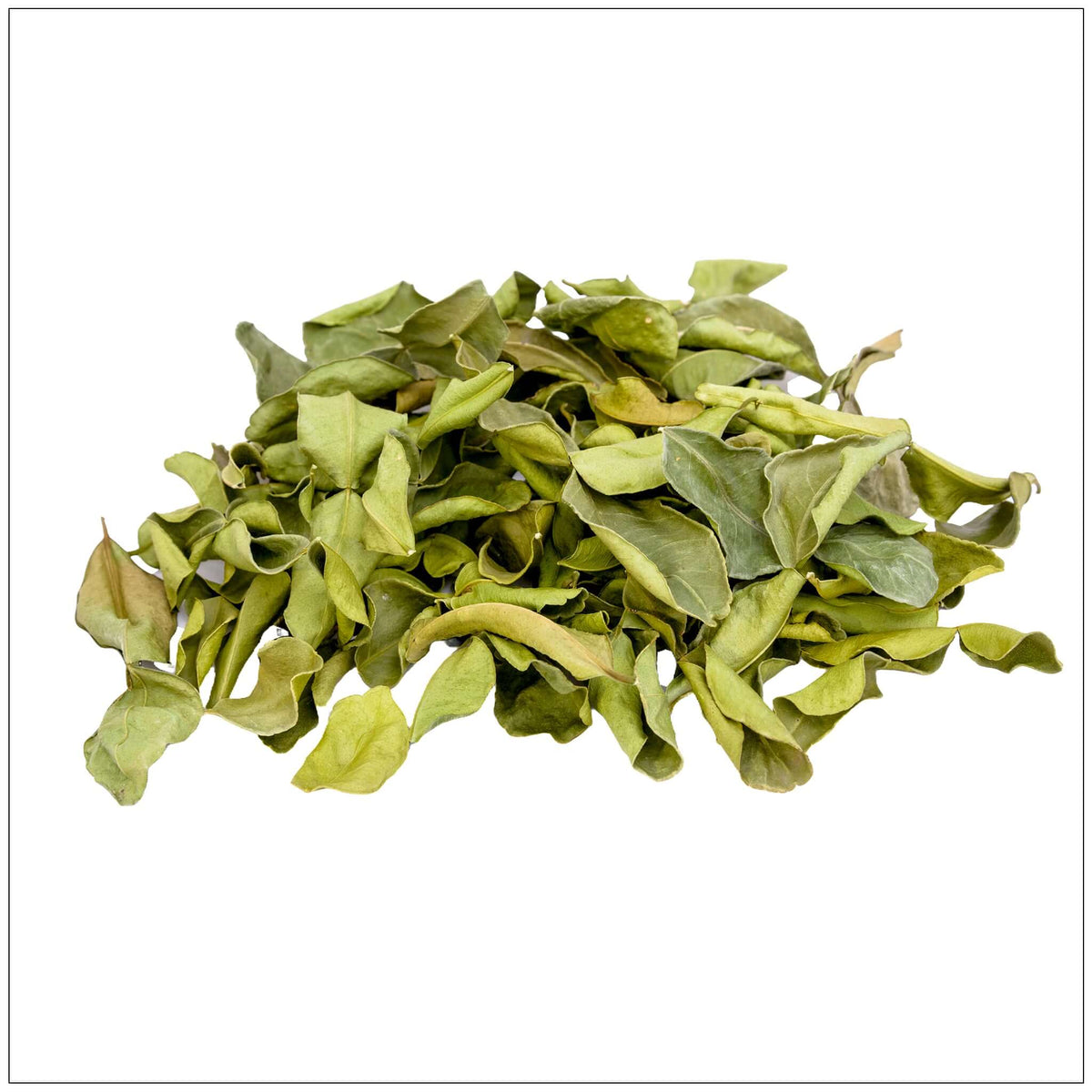 Fresh Kaffir lime leaves for cooking, aromatic herb used in Thai and Southeast Asian dishes, available for sale in the USA