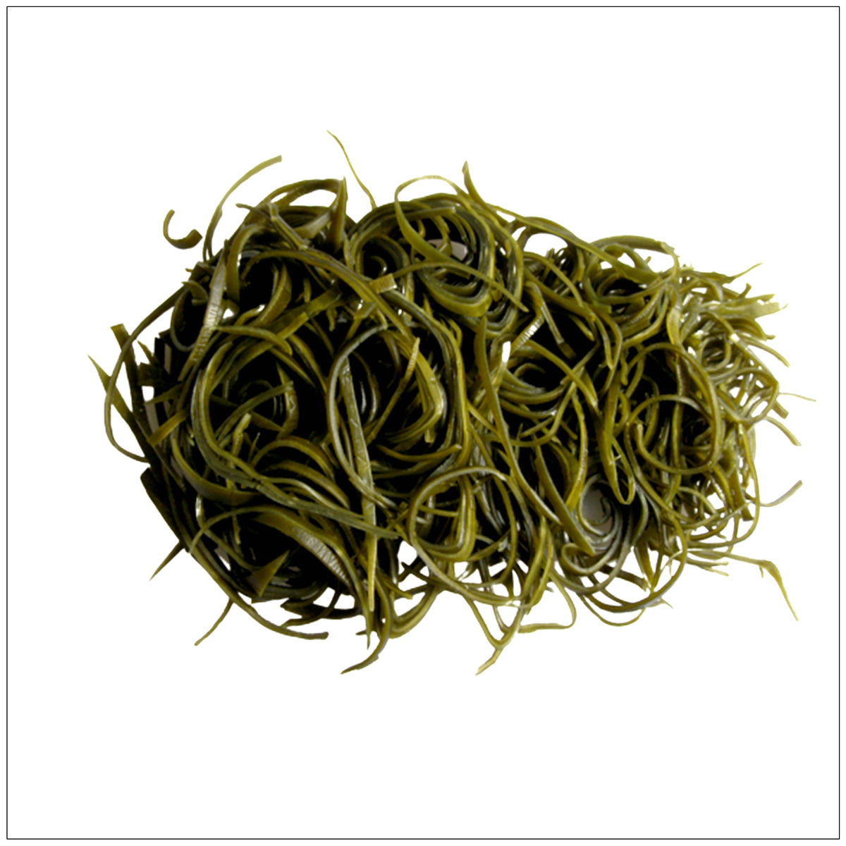 Thin, green kelp slices packed with ocean minerals, displayed on a white plate for a healthy seaweed snack.