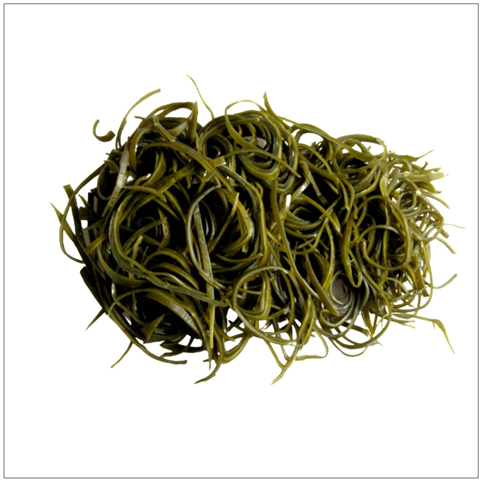 Thin, green kelp slices packed with ocean minerals, displayed on a white plate for a healthy seaweed snack.