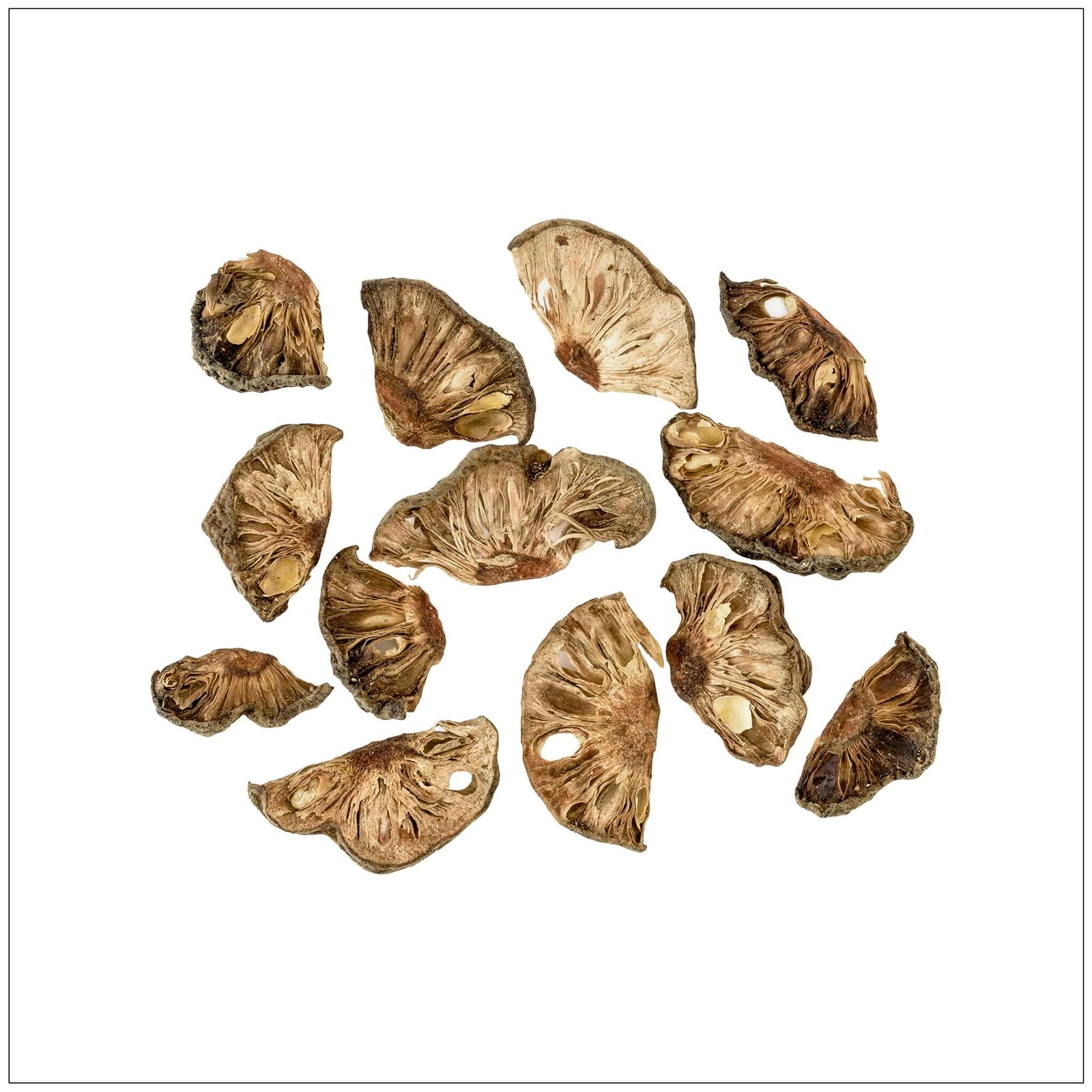 Kokum butter for skin care, rich in nutrients, packaged for the USA market