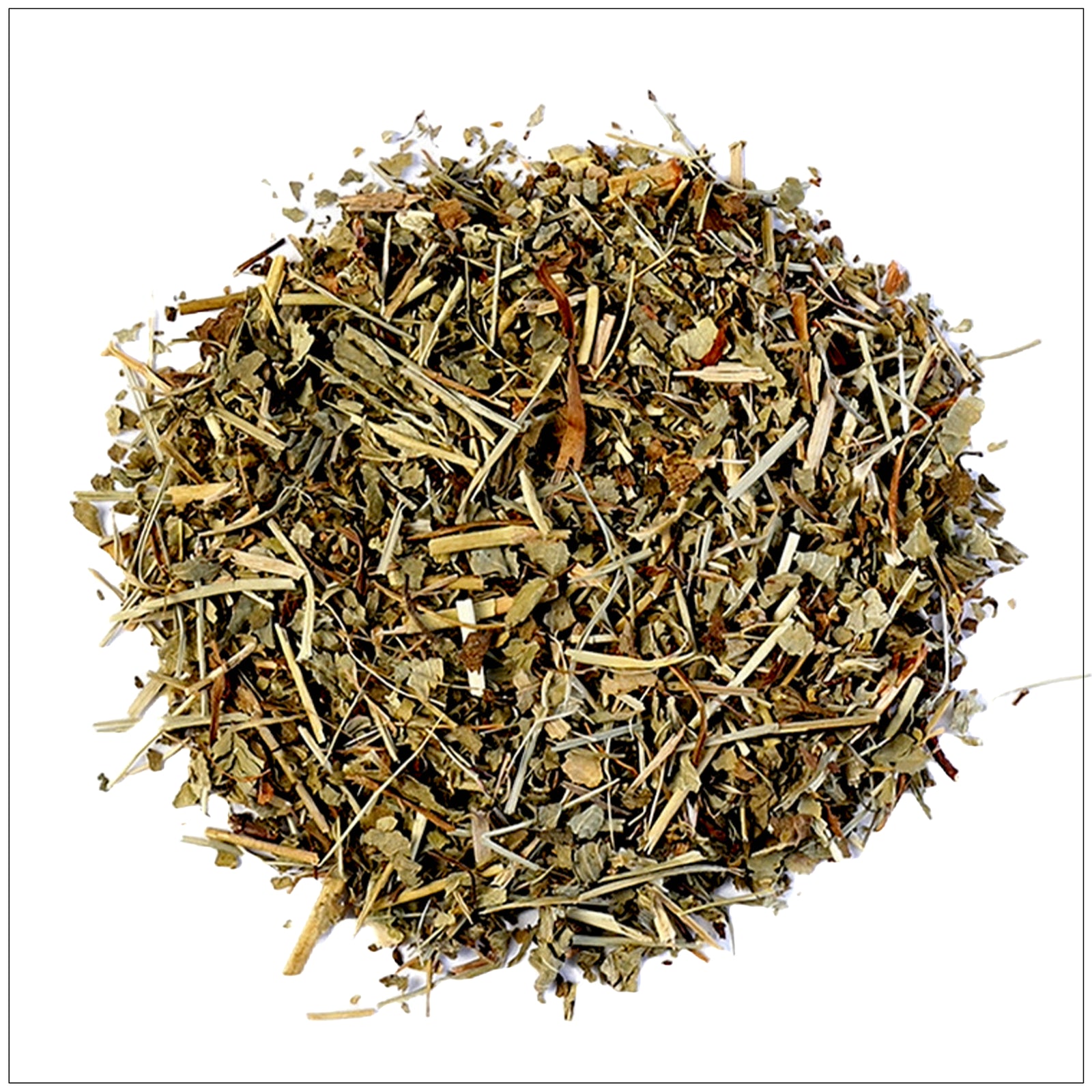 Lady's Mantle plant with dew-covered, fan-shaped leaves in a garden setting