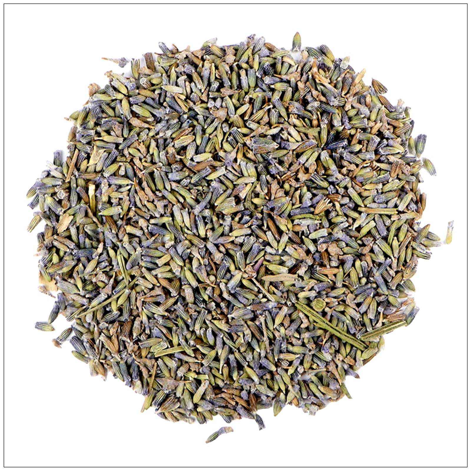 Dried lavender flowers in a bundle, perfect for home décor, aromatherapy, crafts, and natural fragrance.
