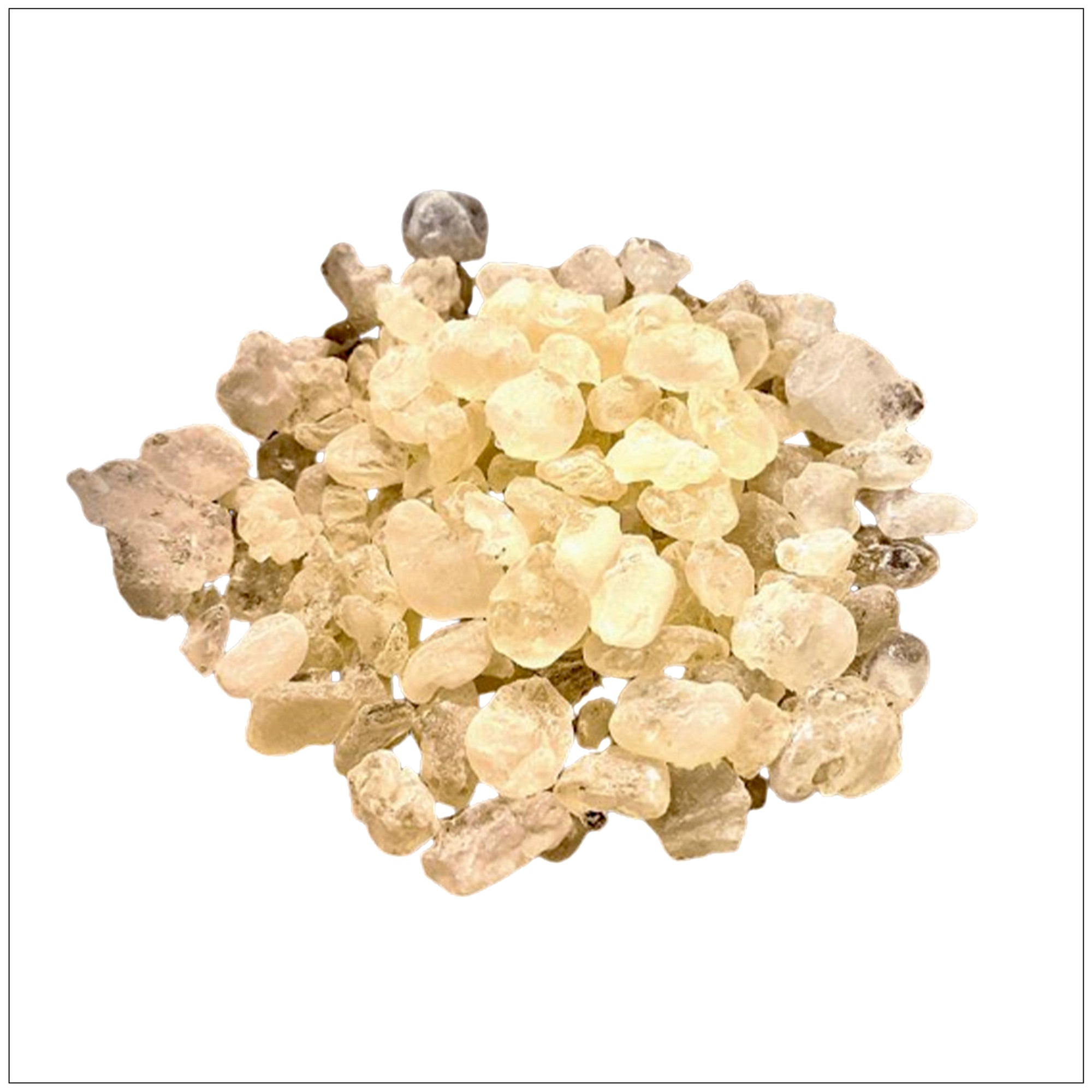 Natural mastic gum resin pieces used for digestive health, oral care, and gut support.