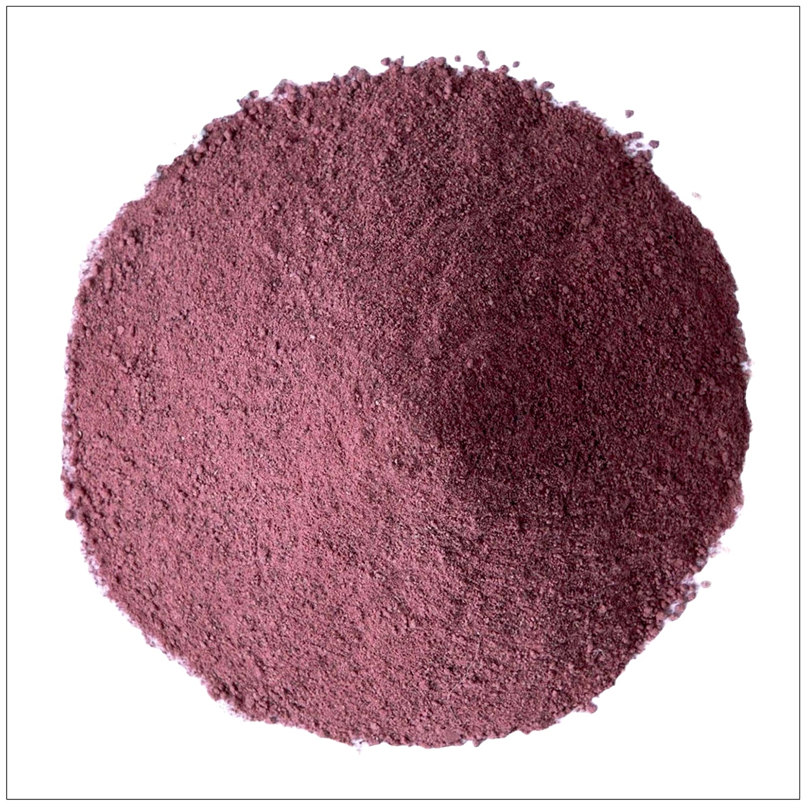 Mulberry fruit powder in a bowl—antioxidant-rich superfood for smoothies, baking, and healthy living.