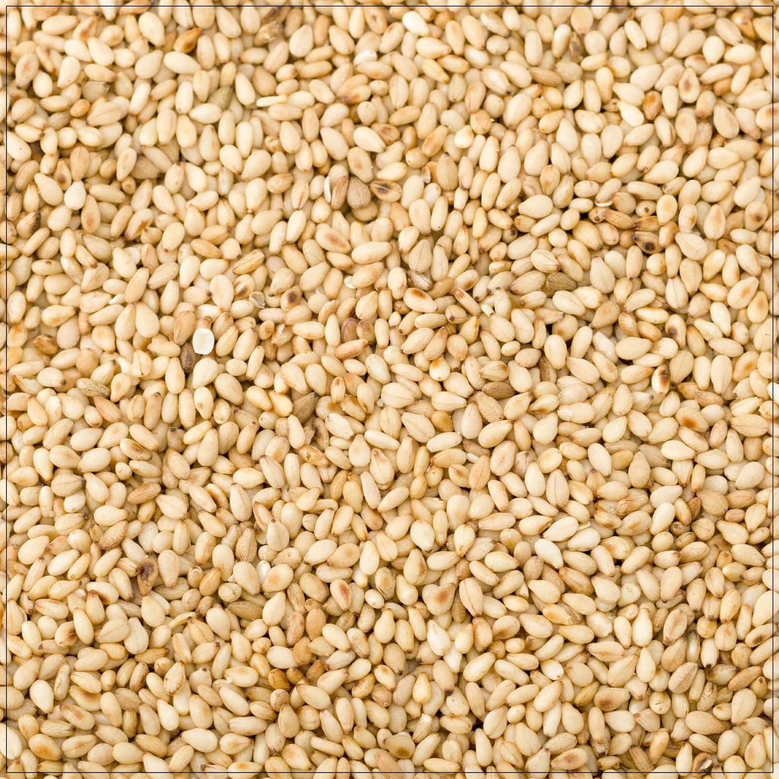 Natural raw sesame seed unhulled, ideal for cooking, baking, and healthy recipes in the USA
