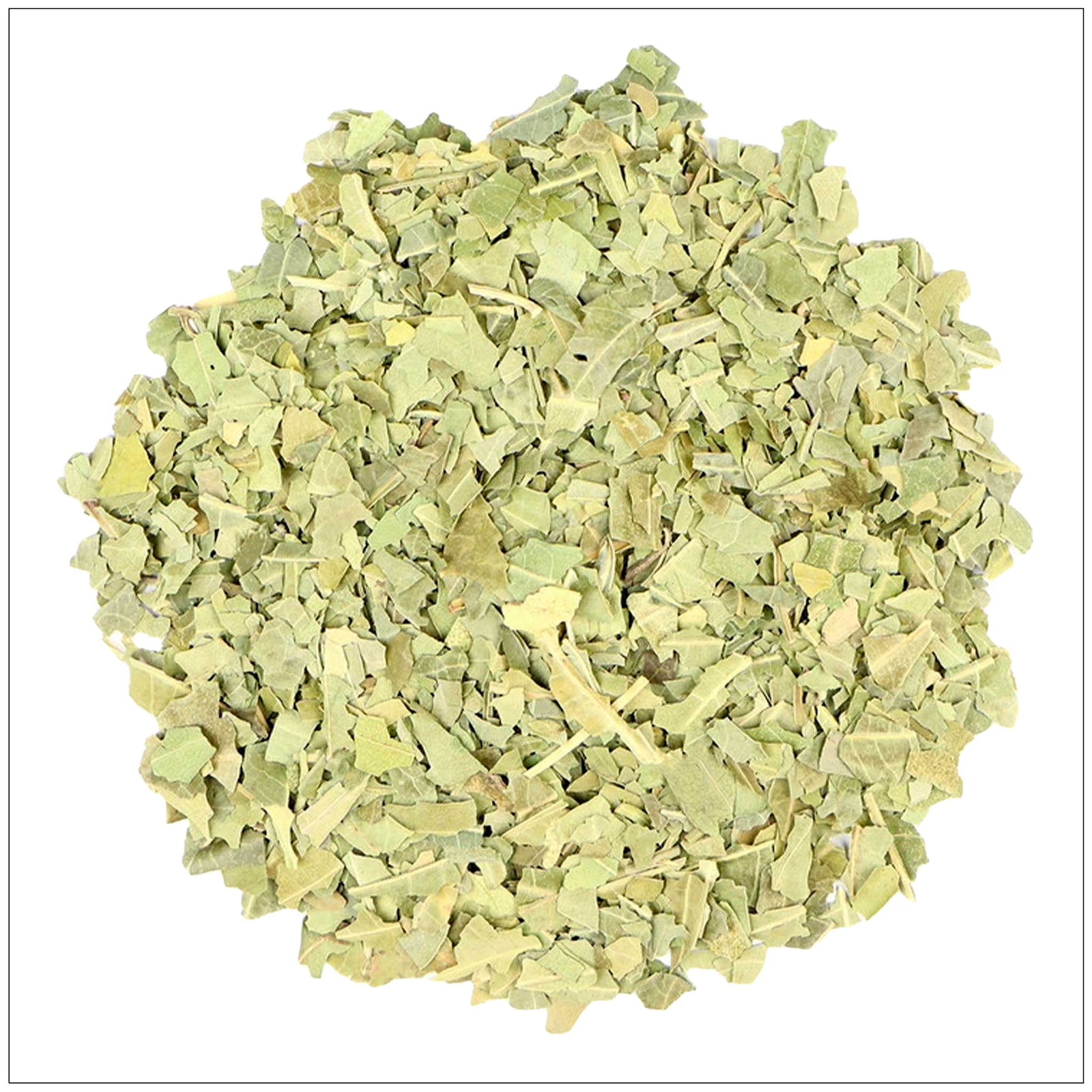 Fresh green neem leaves known for natural skincare, immune support, and detoxifying properties.