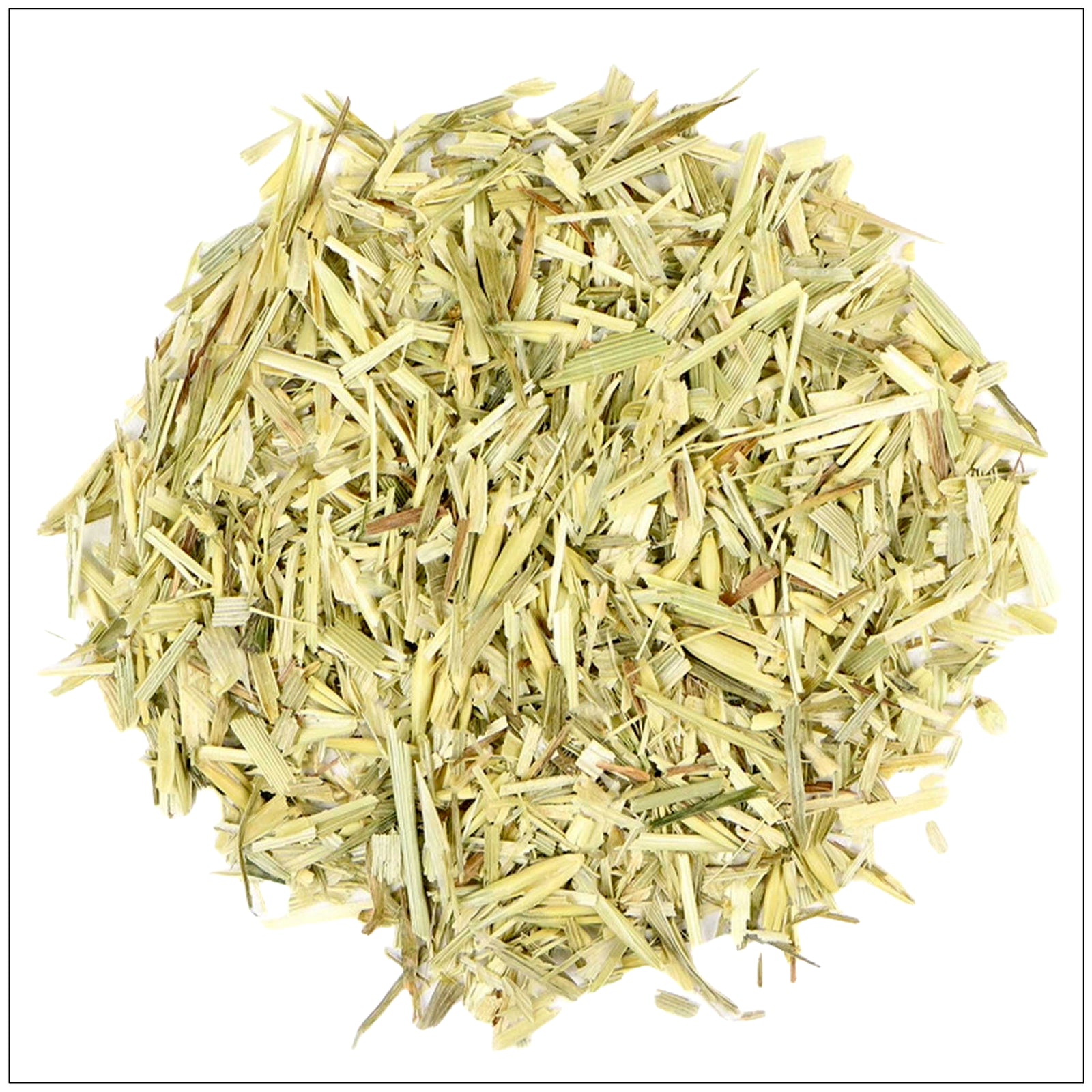 Fresh oatstraw herb stems and leaves, rich in nutrients, used for natural wellness and herbal remedies.