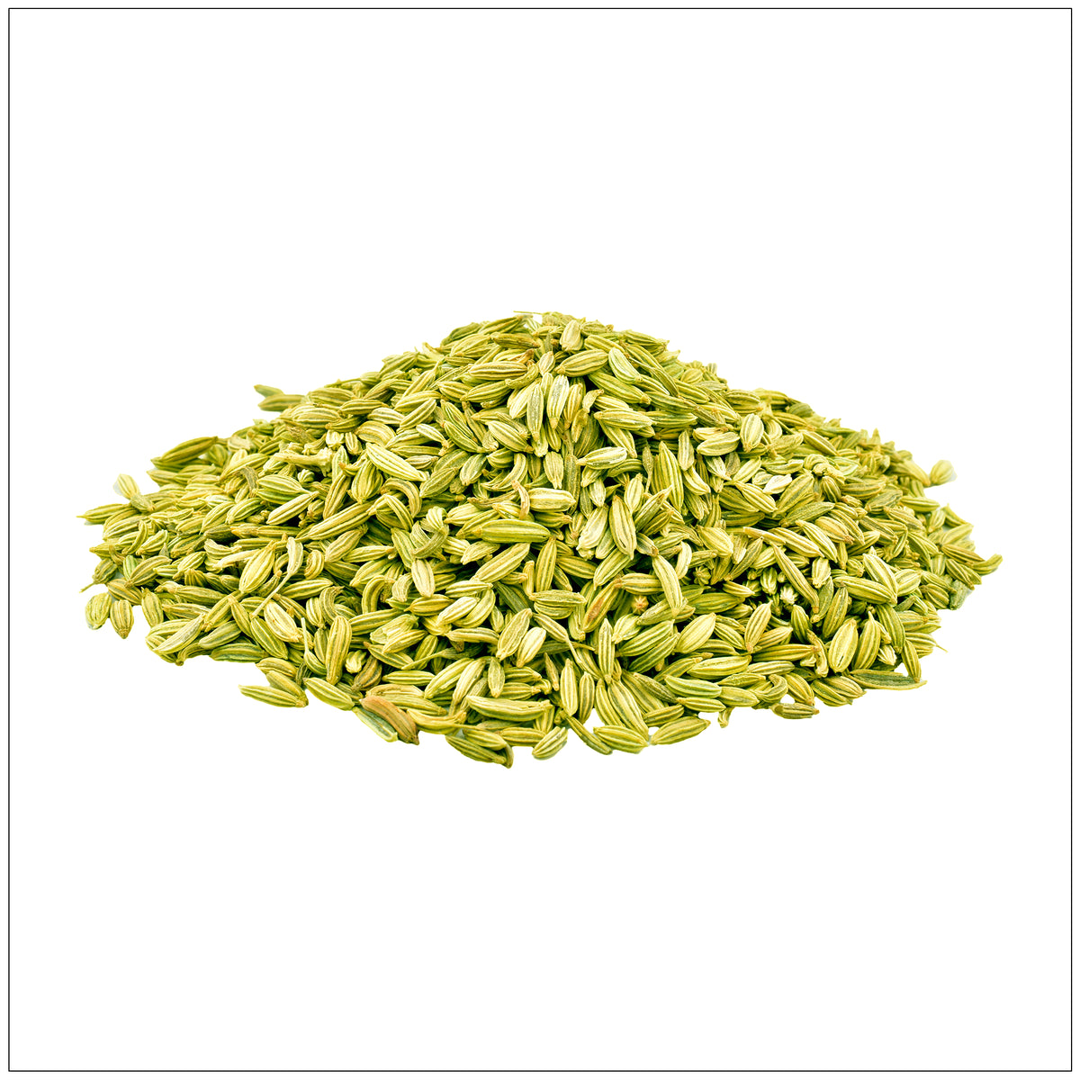 Organic fennel seeds for cooking and seasoning, perfect for recipes in the USA market