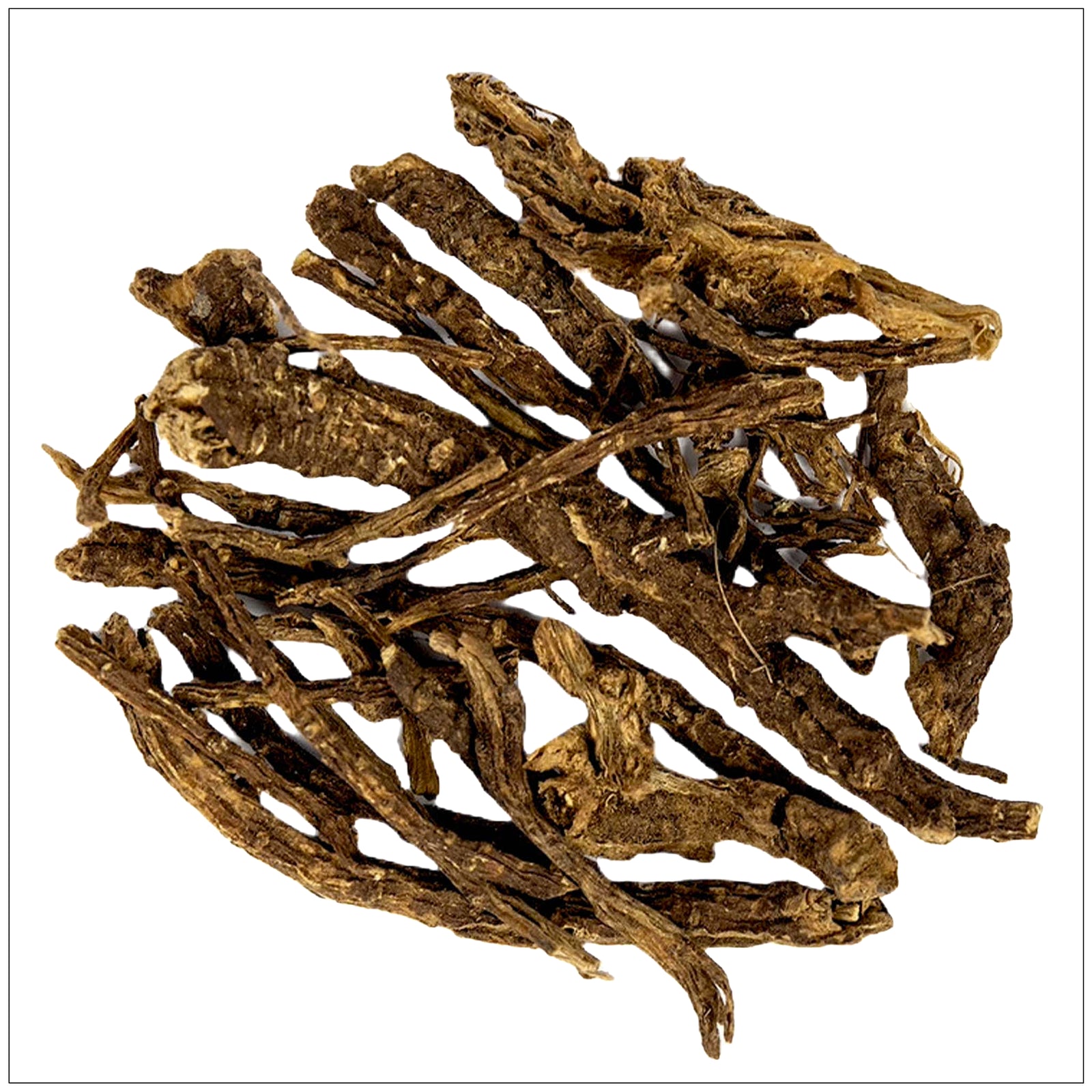 Dried Osha root used in natural remedies, known for respiratory support and immune system benefits.