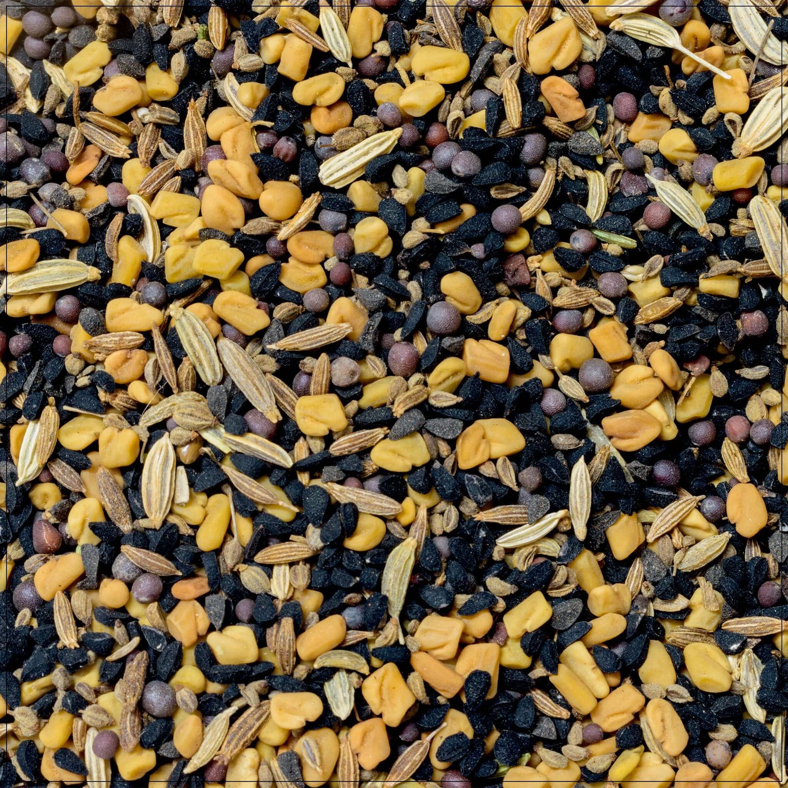 Panch Phoran Spice Mix – Authentic Indian Five-Spice Blend for Cooking, Vegan & Gluten-Free Seasoning for Curries, Vegetables, and More