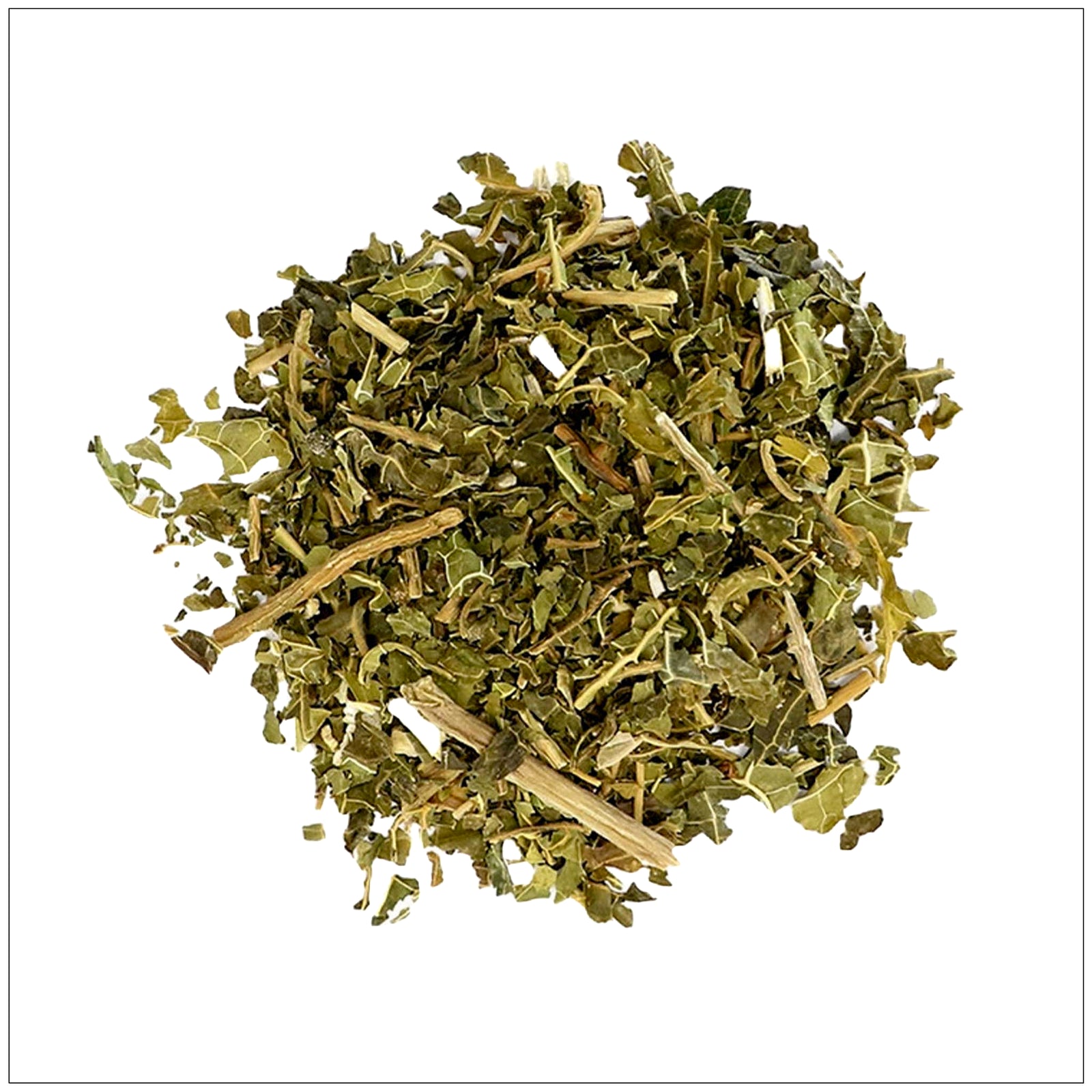 Fresh green papaya leaf on a white background, known for its wellness and digestive health benefits.