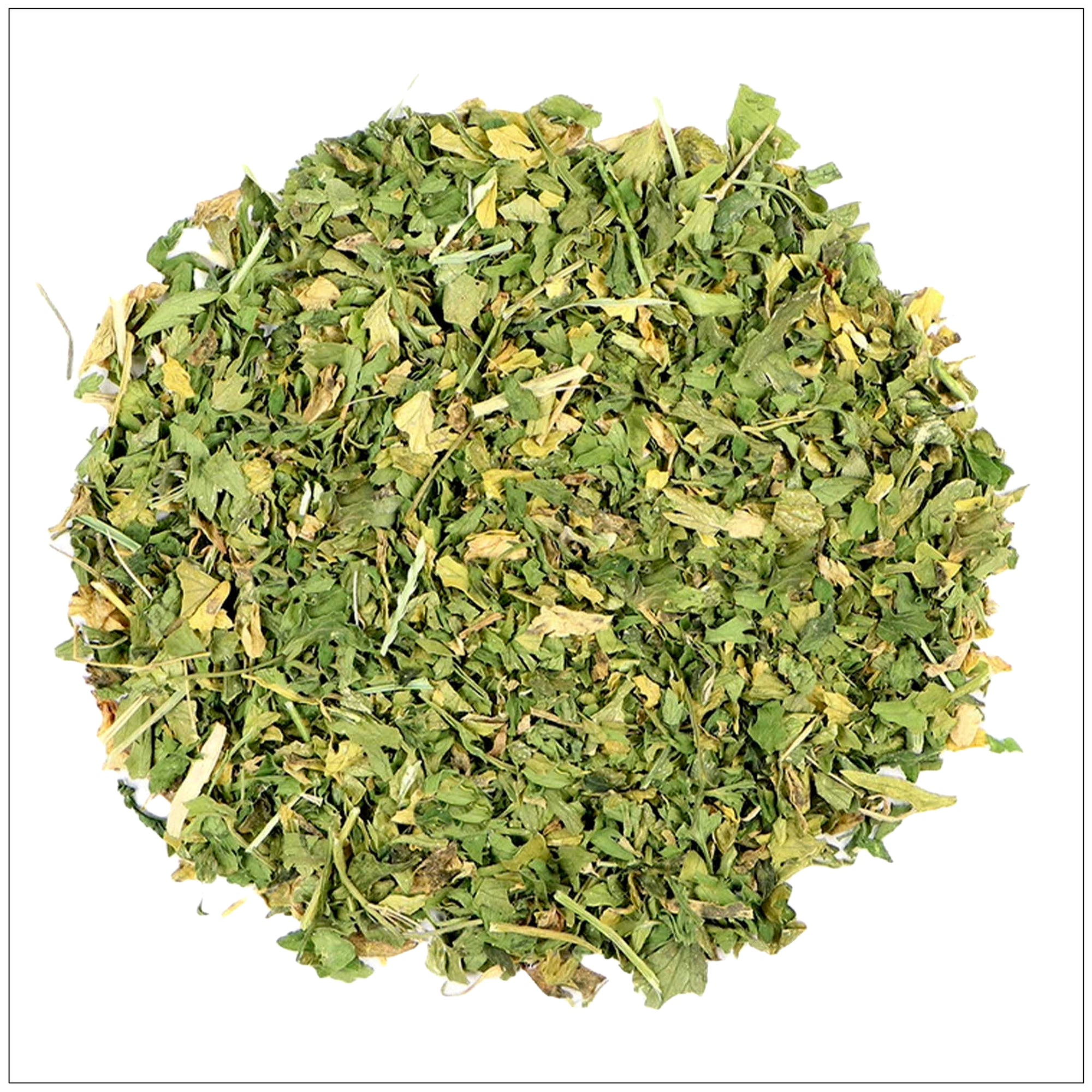 Fresh green parsley leaf isolated on white background, ideal for cooking, garnishing, or herbal remedies.