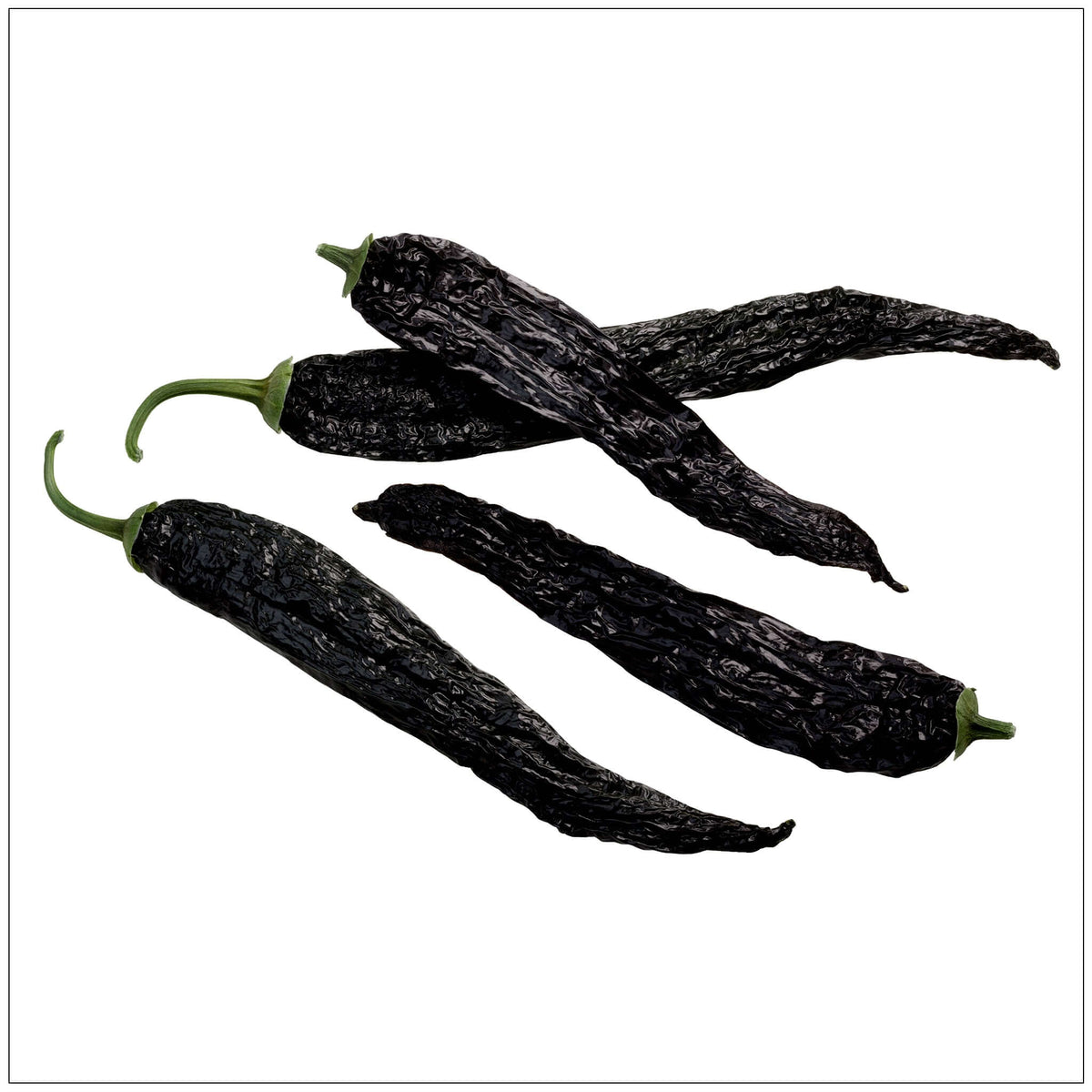 Dried Pasilla Peppers - Authentic Mexican Hot Chili for Cooking, Ideal for Salsas and Sauces in USA