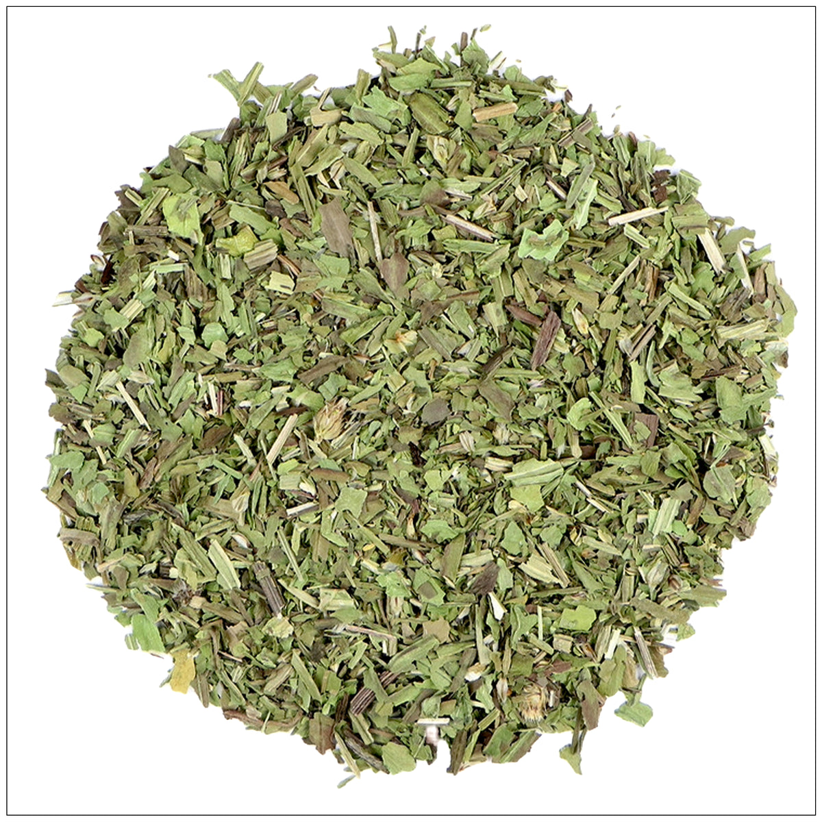 Fresh green plantain leaf with visible veins, ideal for natural remedies and culinary uses.