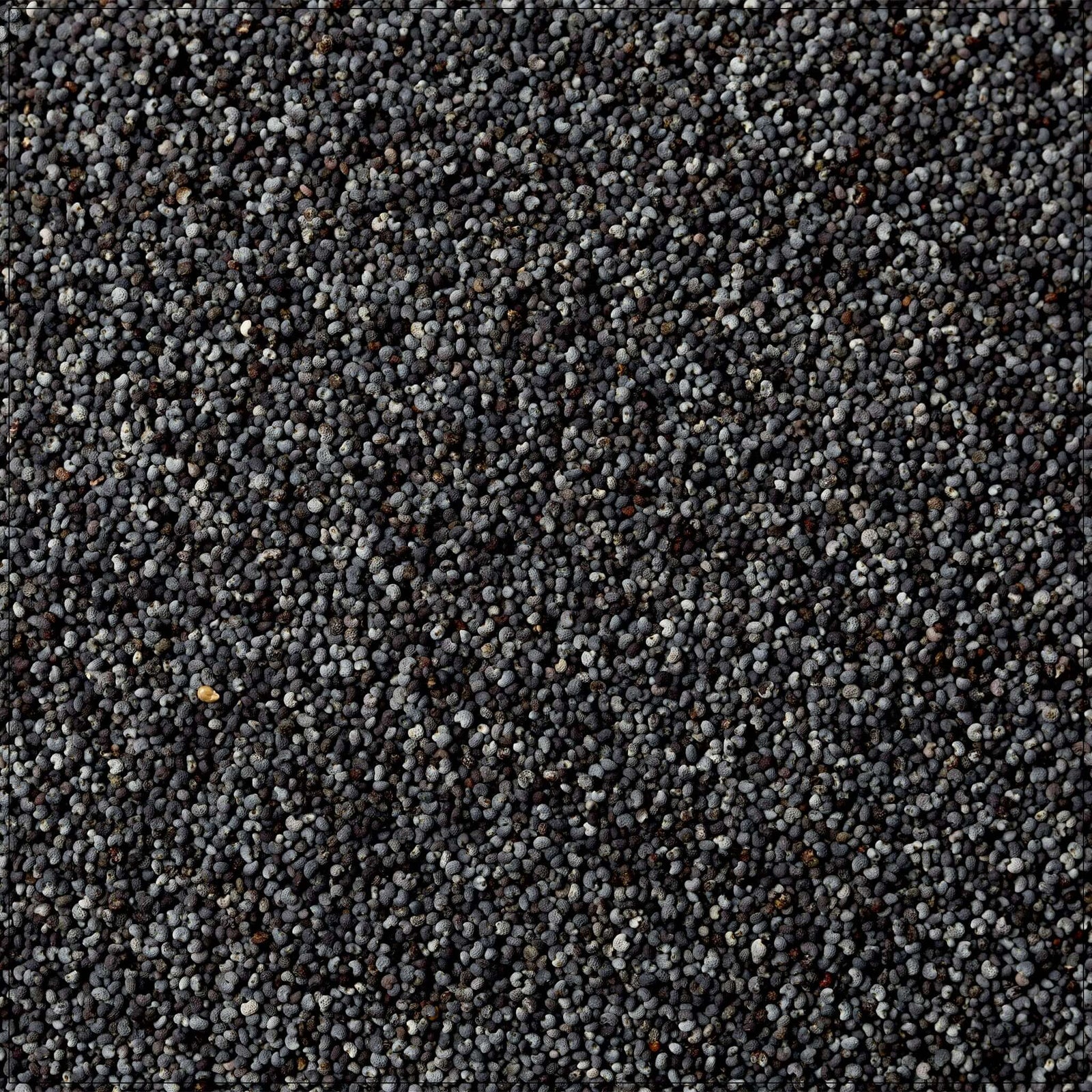 poppy seeds for baking and cooking, perfect for bread, pastries, and savory recipes in the USA
