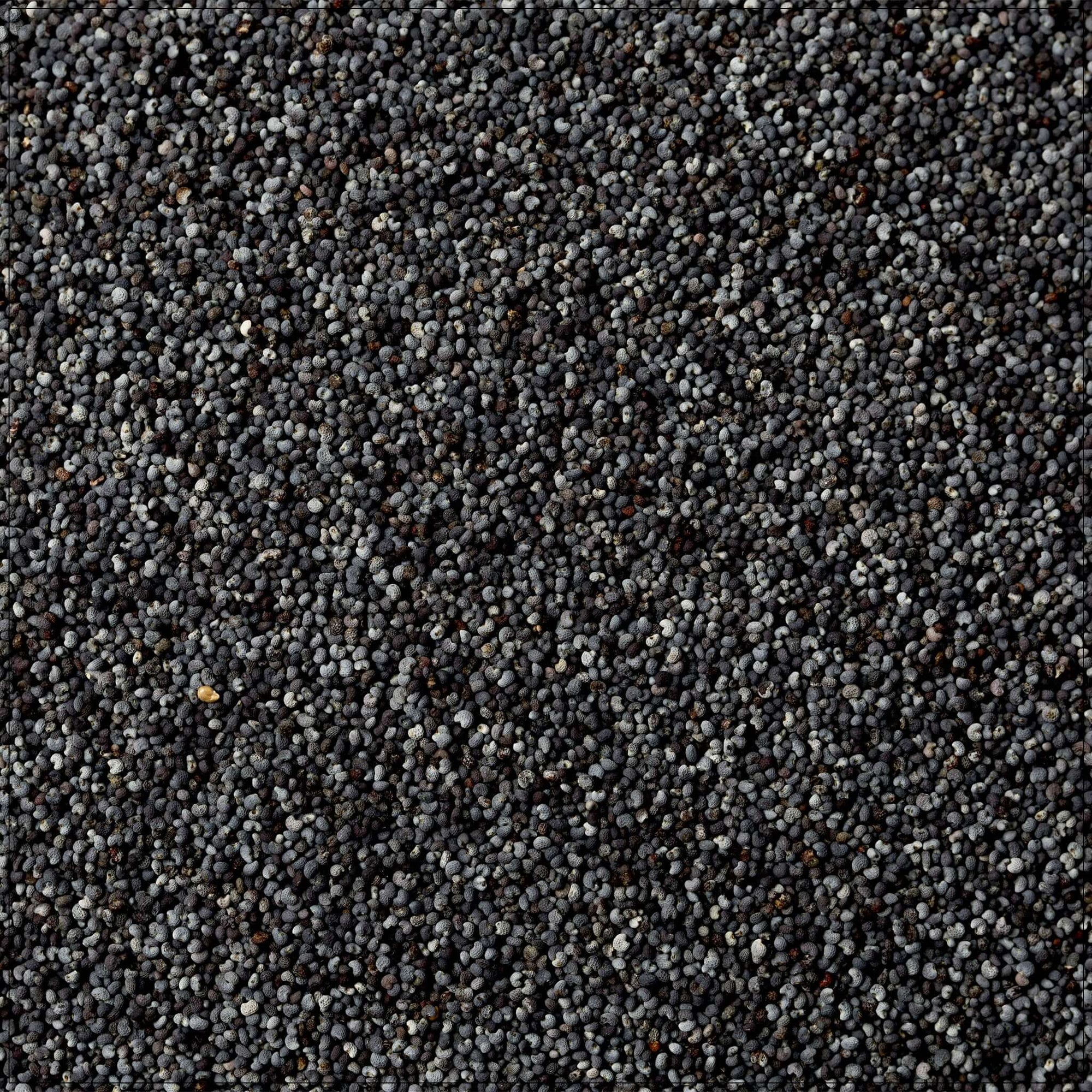 poppy seeds for baking and cooking, perfect for bread, pastries, and savory recipes in the USA