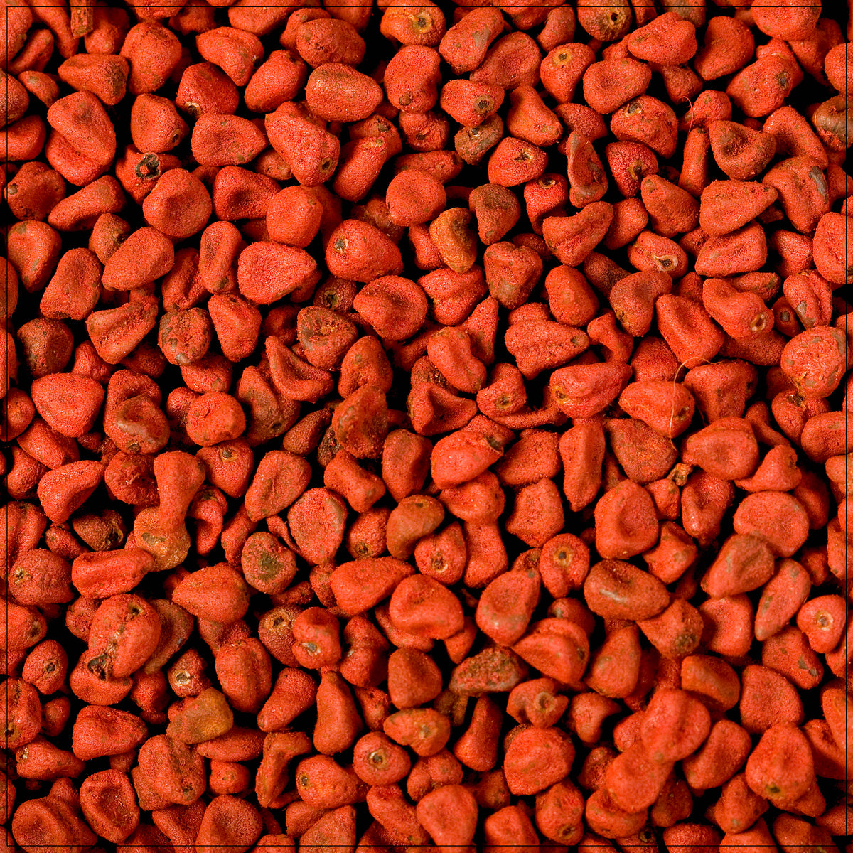 Close-up of premium-quality annatto seeds in a glass bowl, showcasing their vibrant red-orange color