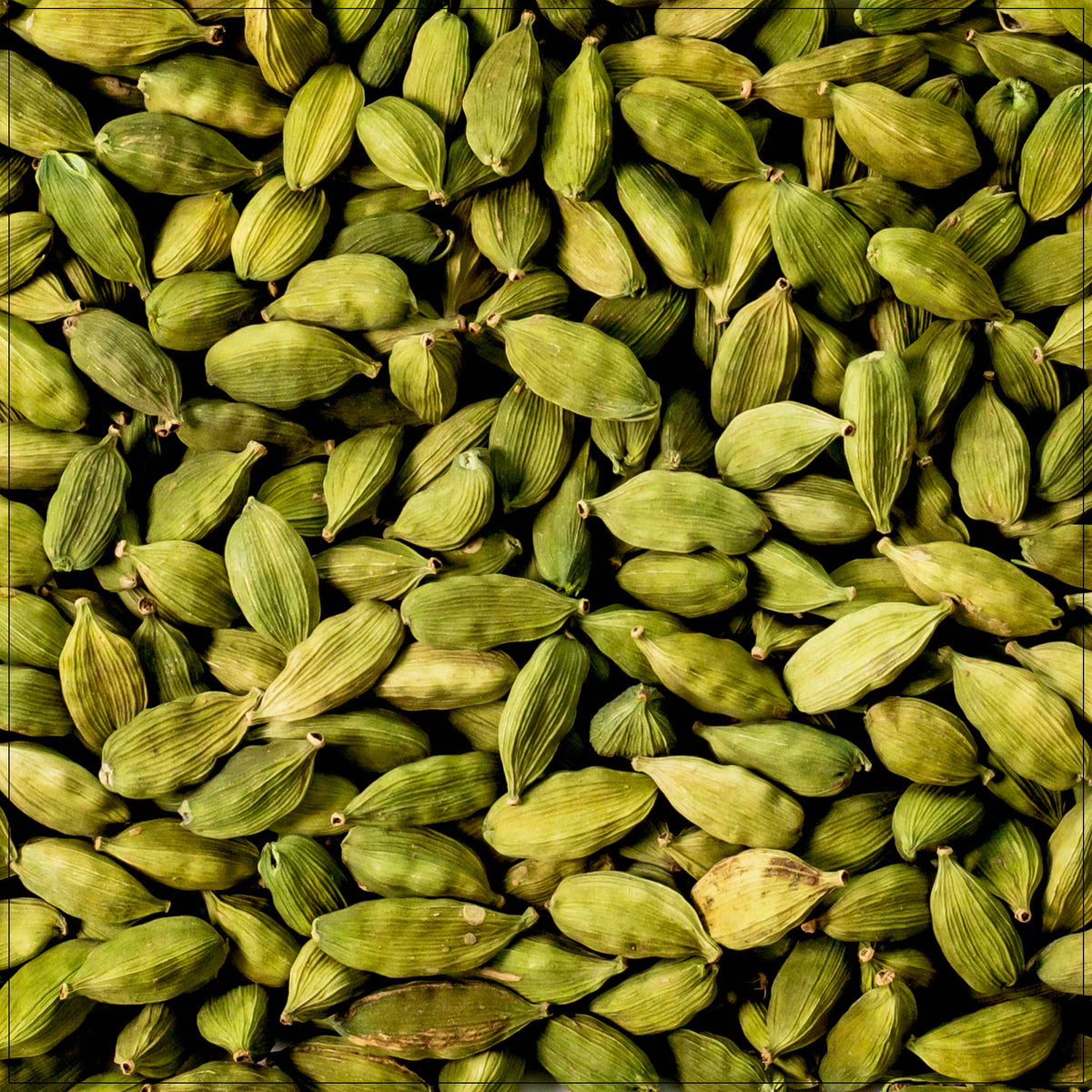 Fresh green cardamom pods close-up—aromatic spice for cooking, baking, and herbal teas.
