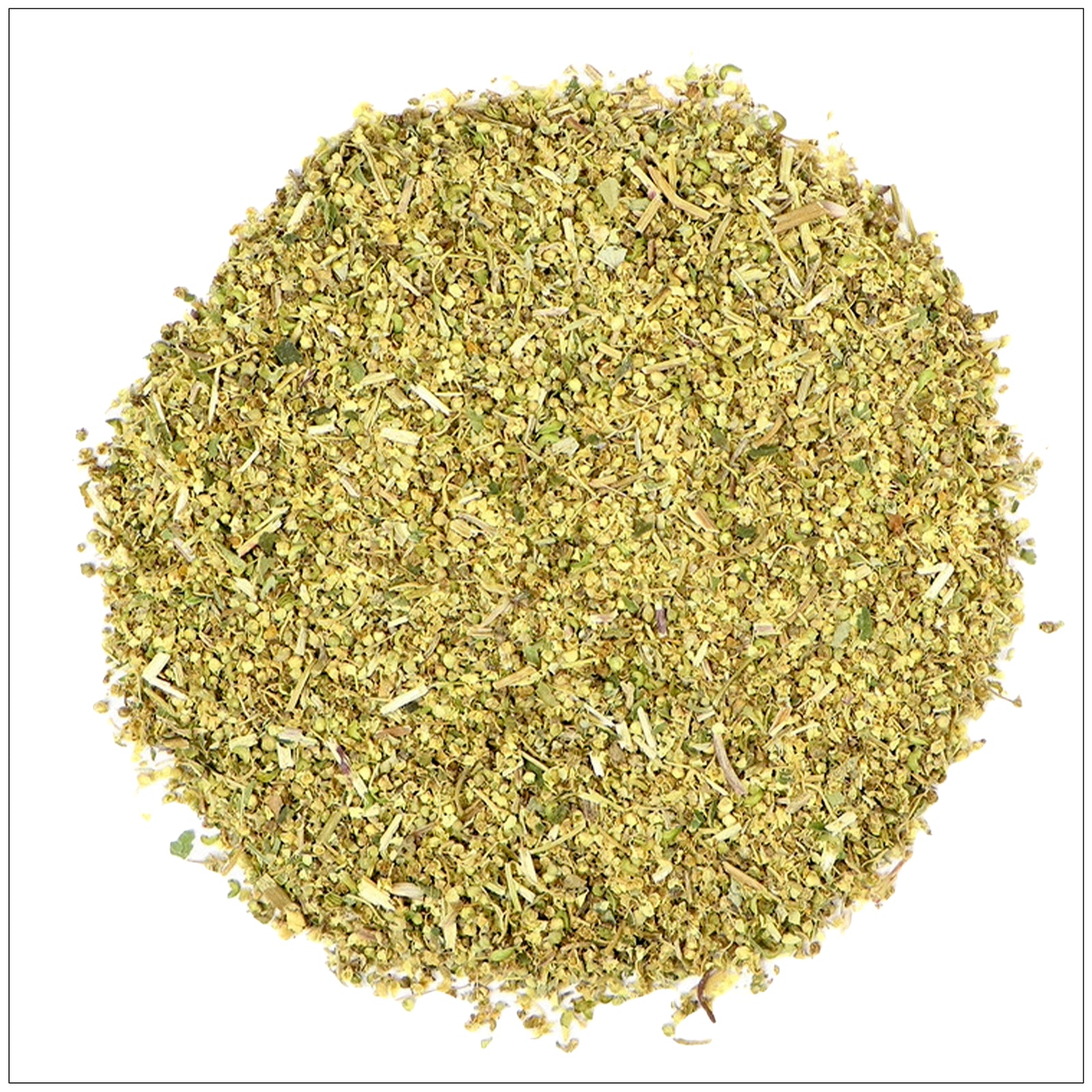 Queen of the Meadow wildflower with tall, airy blooms in a sunny American meadow.