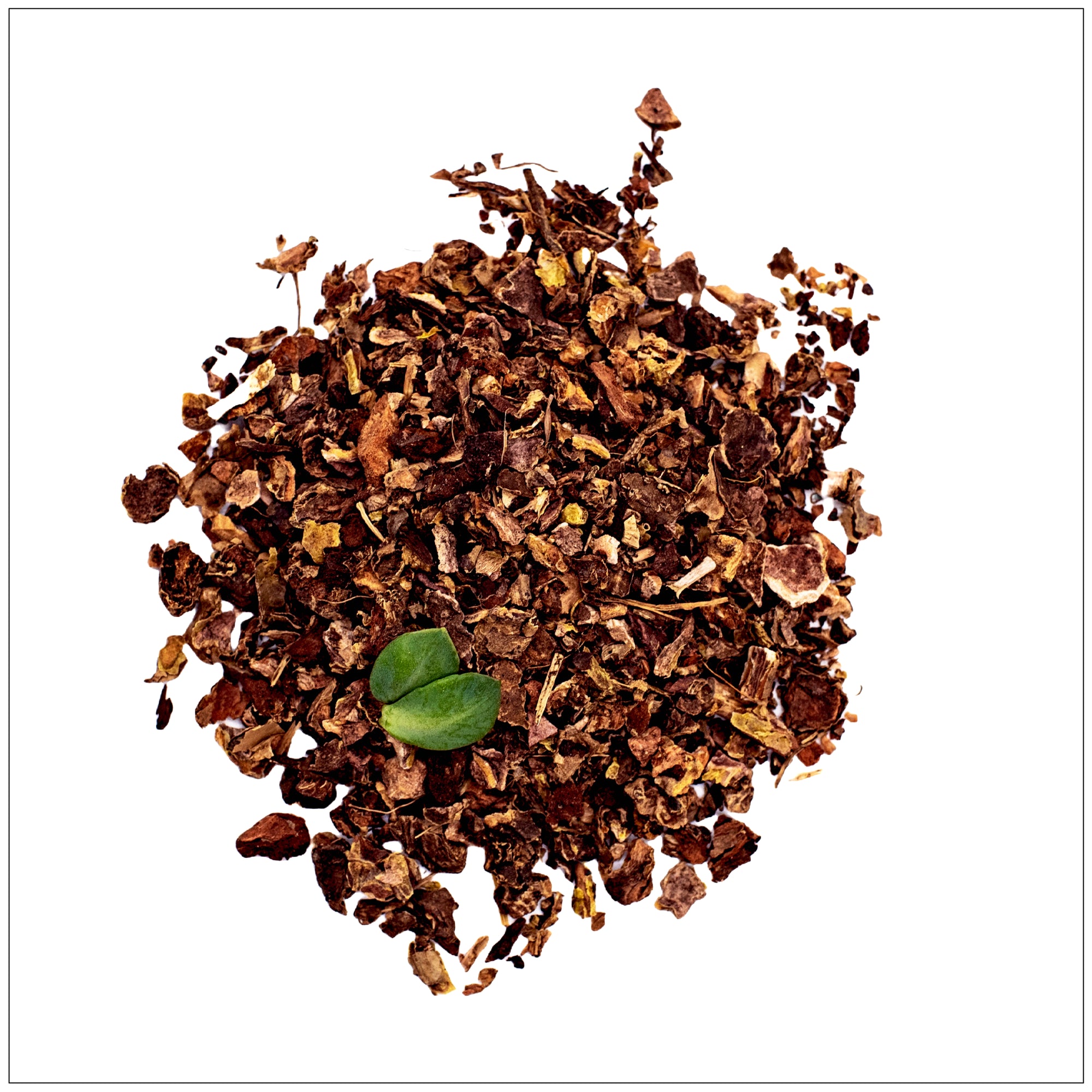 Rhodiola Rosea supplement capsules on a wooden table with fresh root and green leaves beside them.