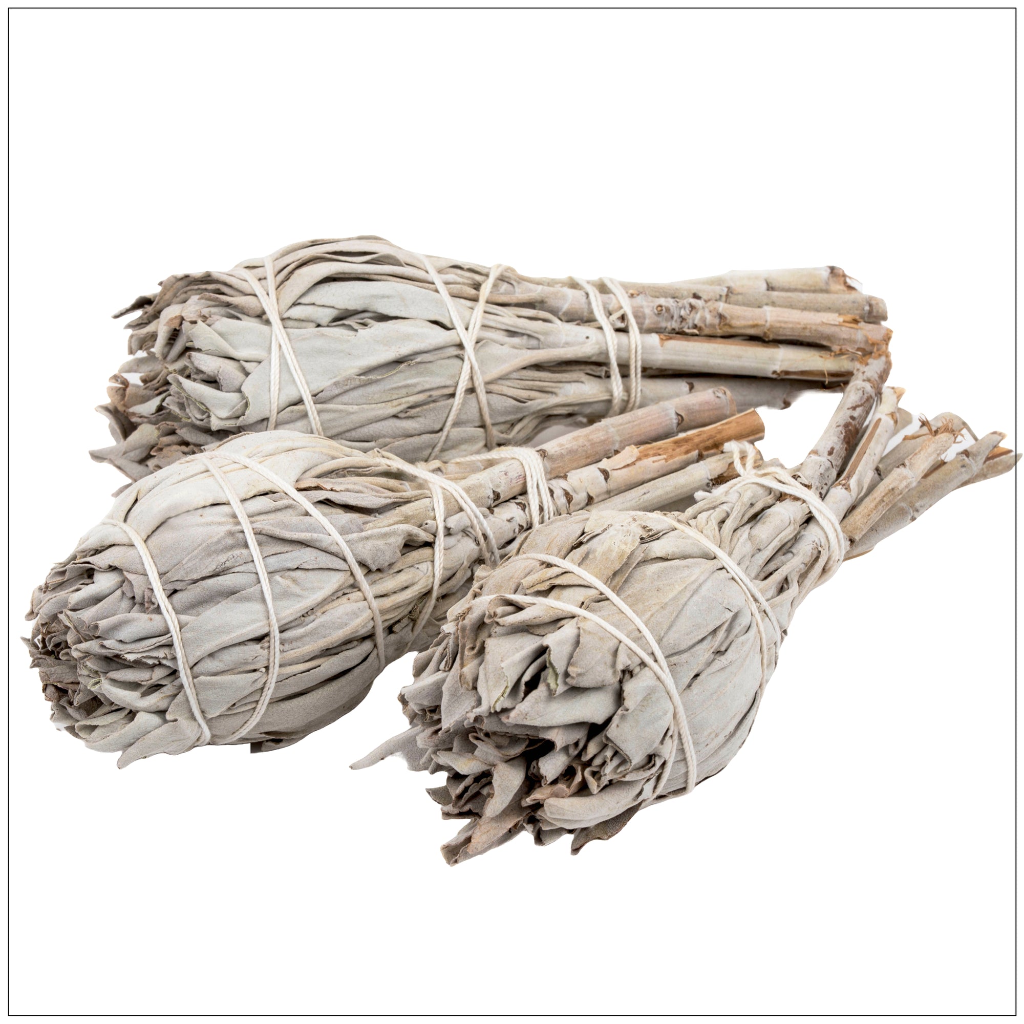White sage smudge stick burning with cleansing smoke for spiritual purification and energy clearing.