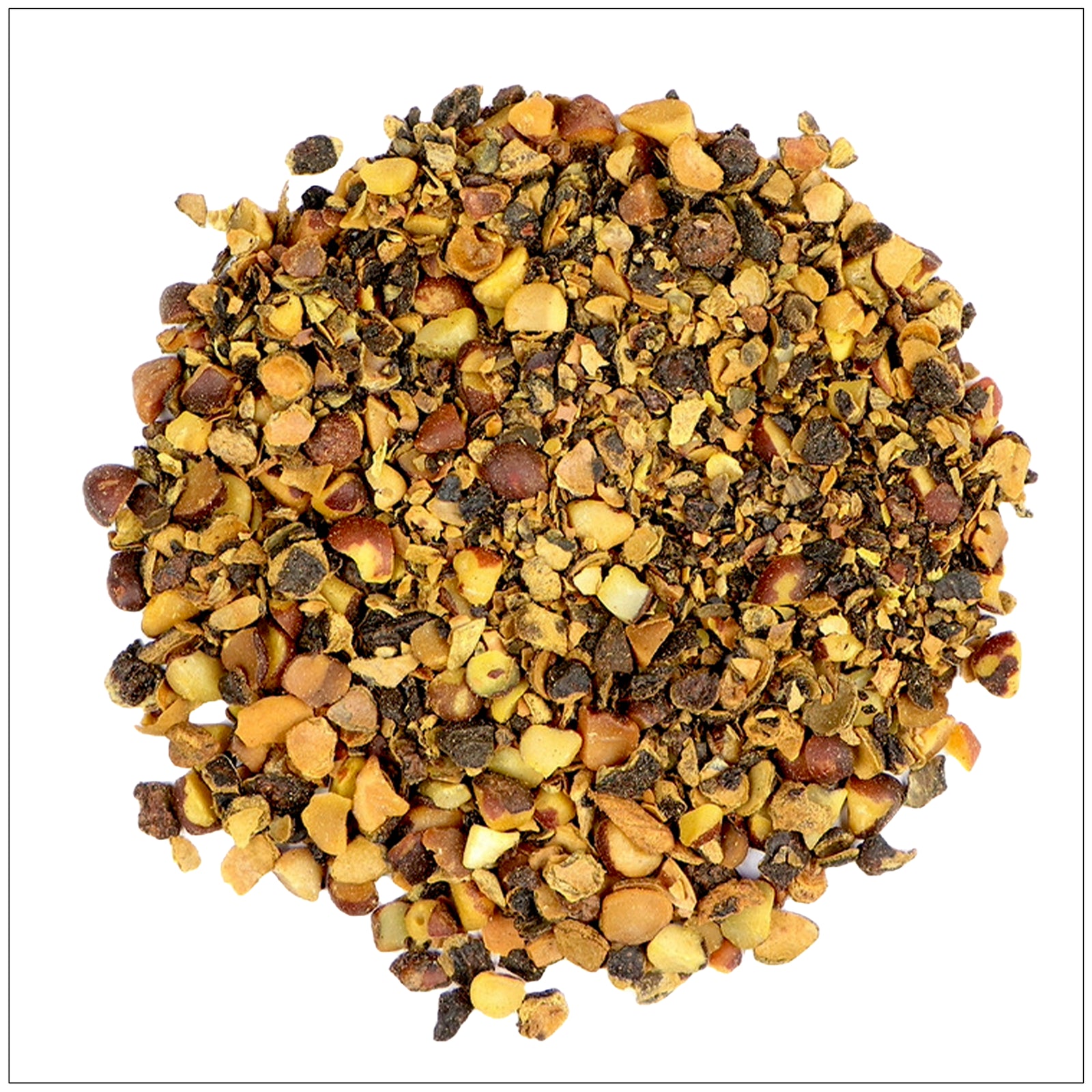 Ripe saw palmetto berries harvested for natural prostate and urinary health supplements.