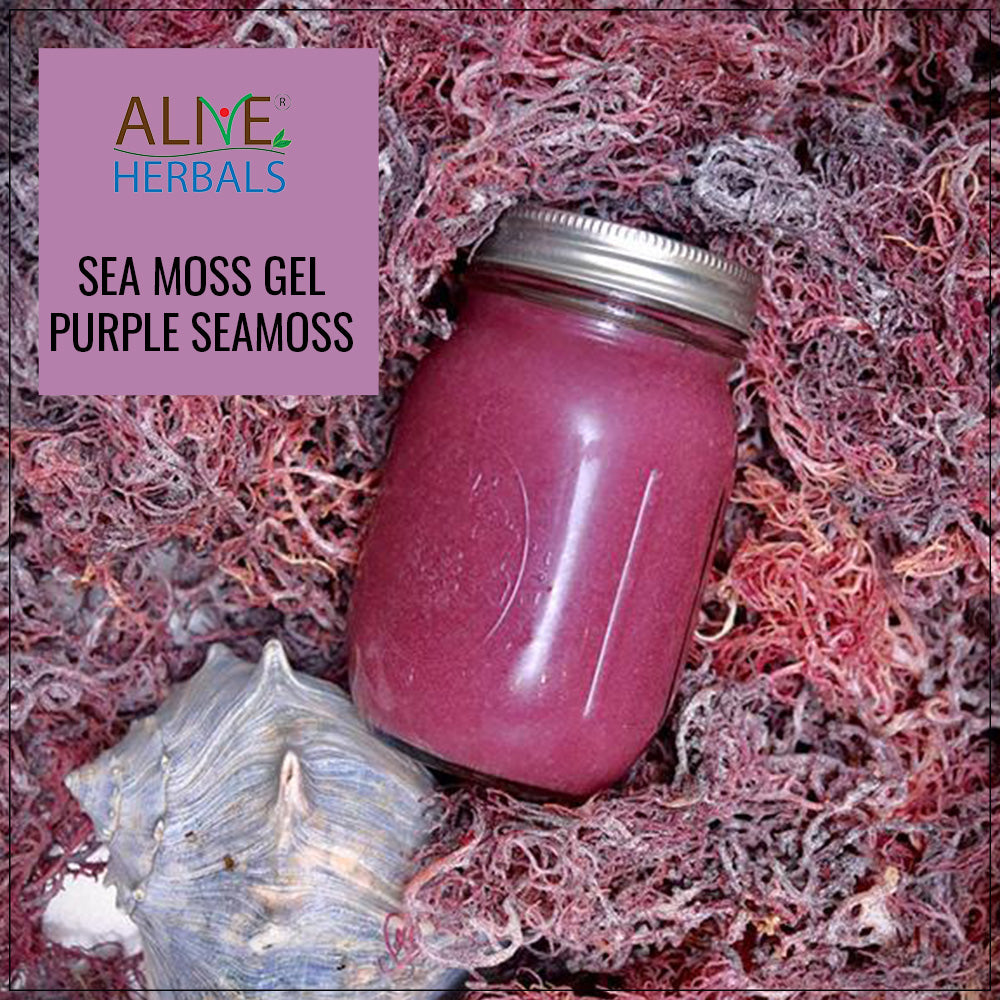 Sea moss original | Alive Herbals USA 