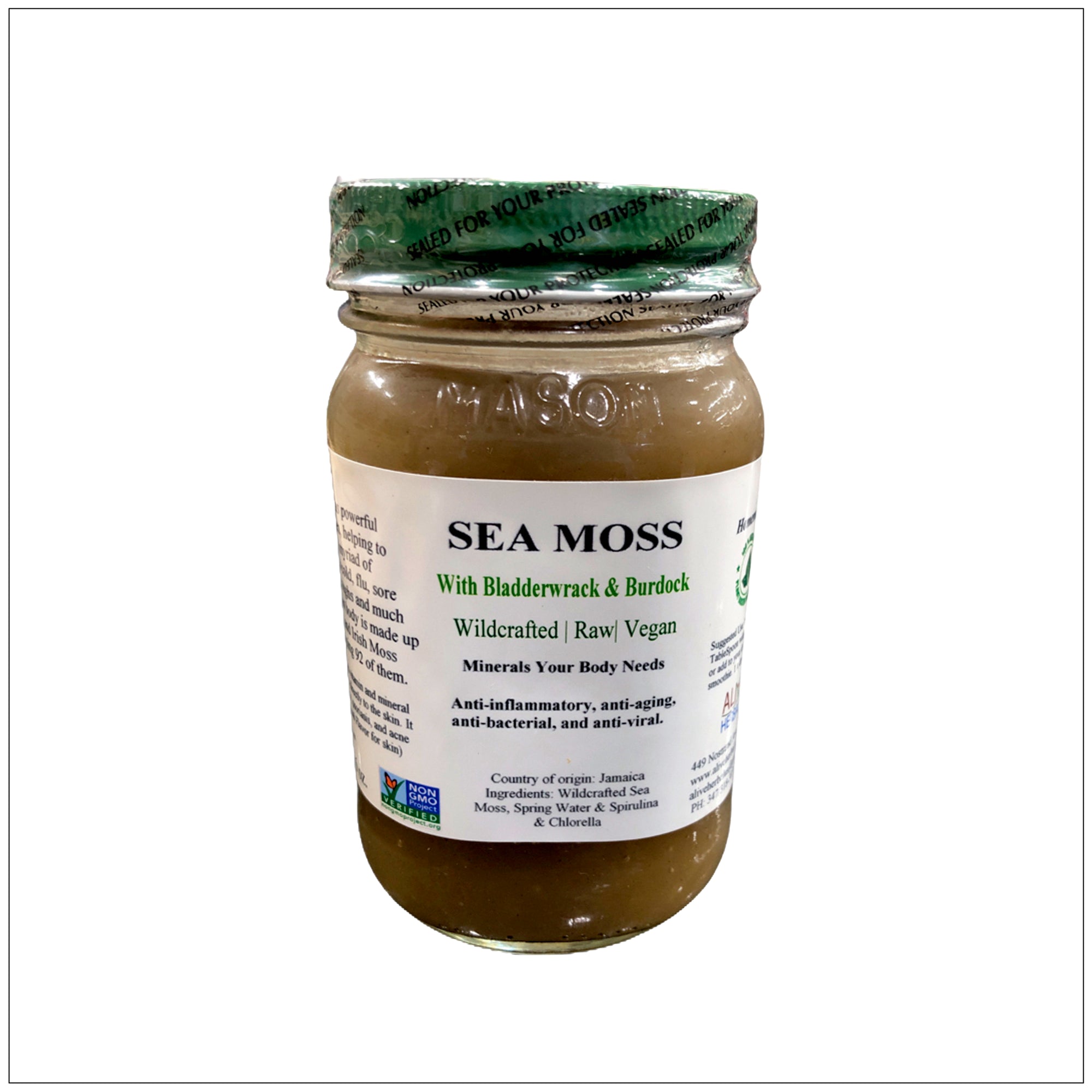 Sea moss with bladderwrack—Burdock Alive Herbals USA