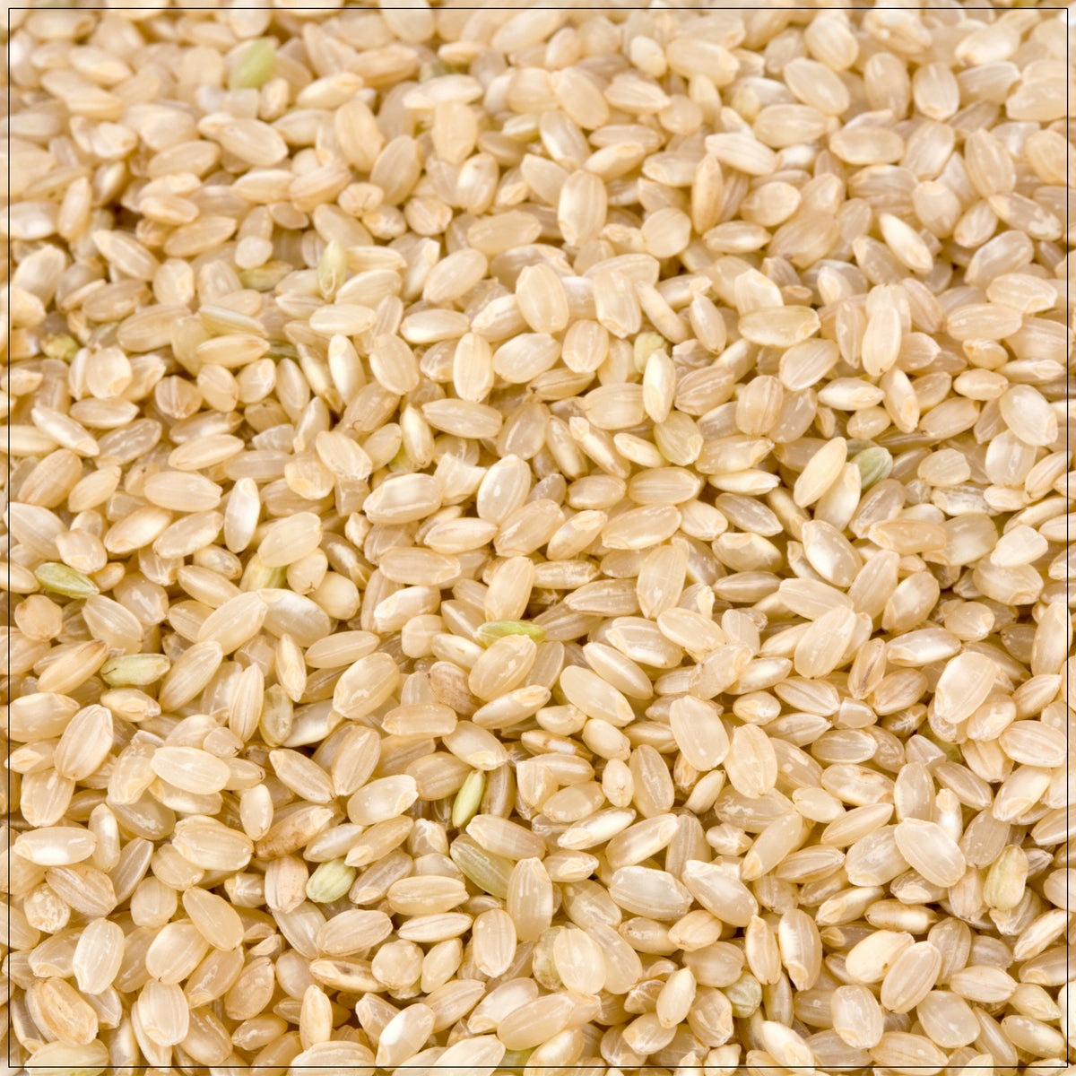 Cooked short grain brown rice in a bowl, perfect for healthy meals, rich in fiber and whole grain goodness.