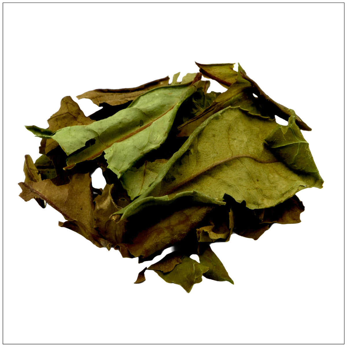 Loose-leaf Shu Mee White Tea with light brown leaves, known for its bold flavor and rich antioxidants.