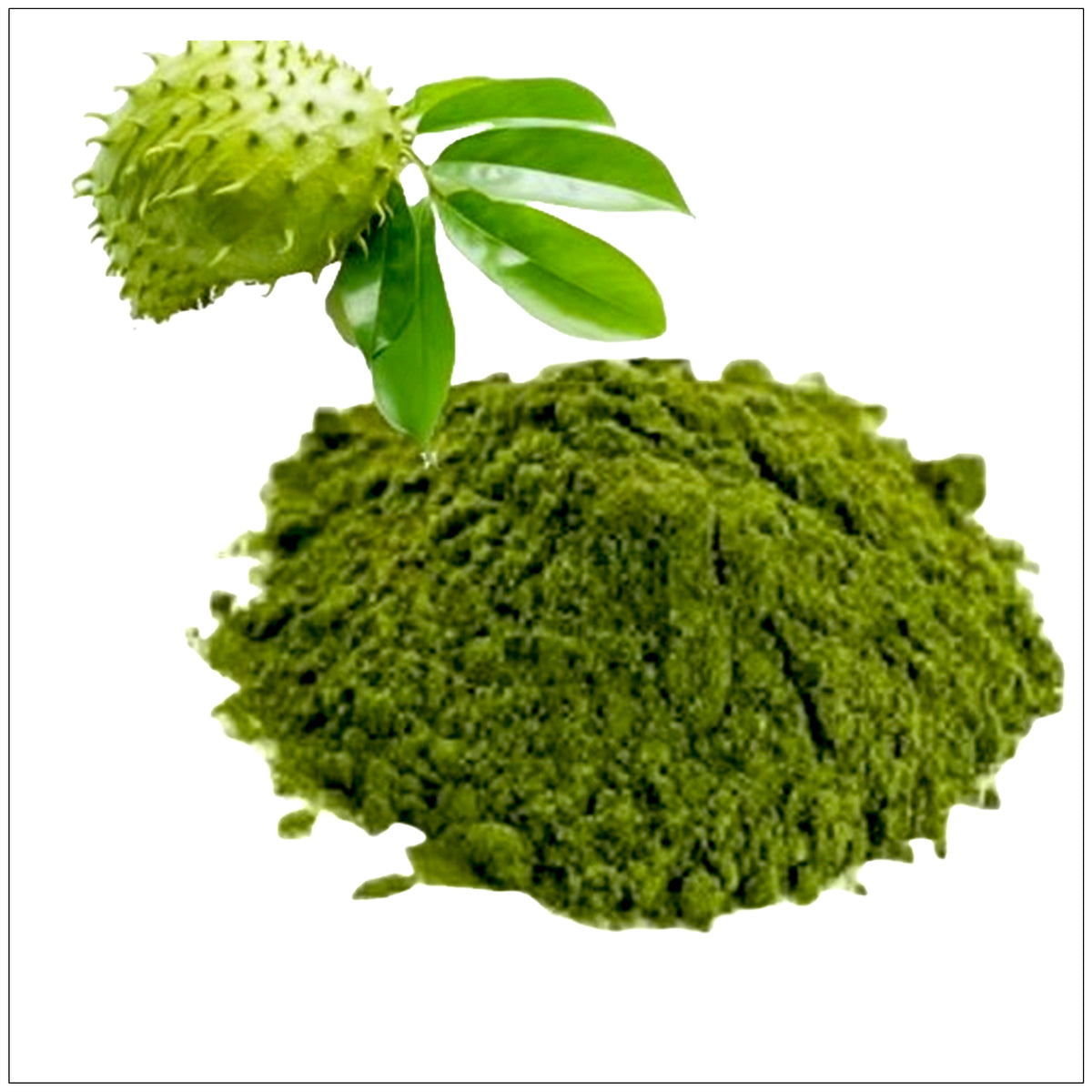 Soursop powder in a resealable pouch, rich in antioxidants and natural health benefits.