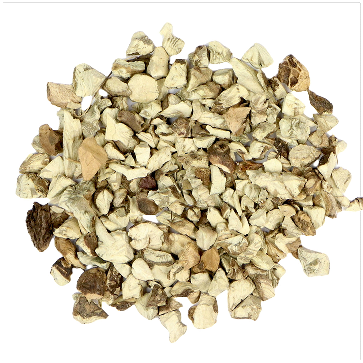 Stone Root herb supplement for digestive and urinary health support, naturally sourced and high potency.