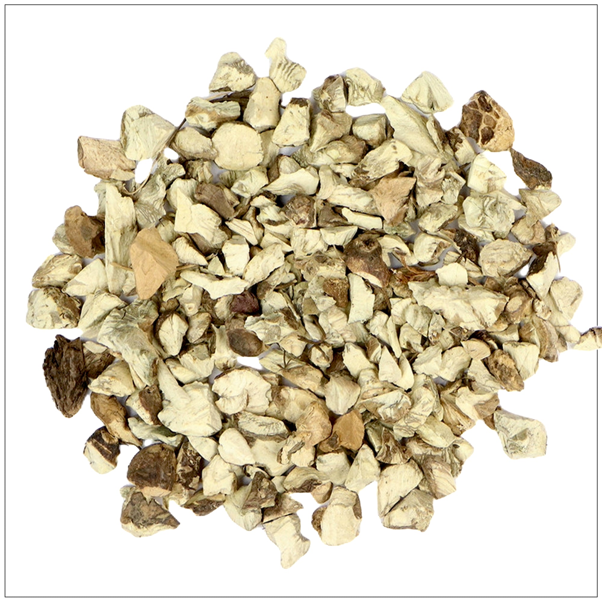 Stone Root herb supplement for digestive and urinary health support, naturally sourced and high potency.