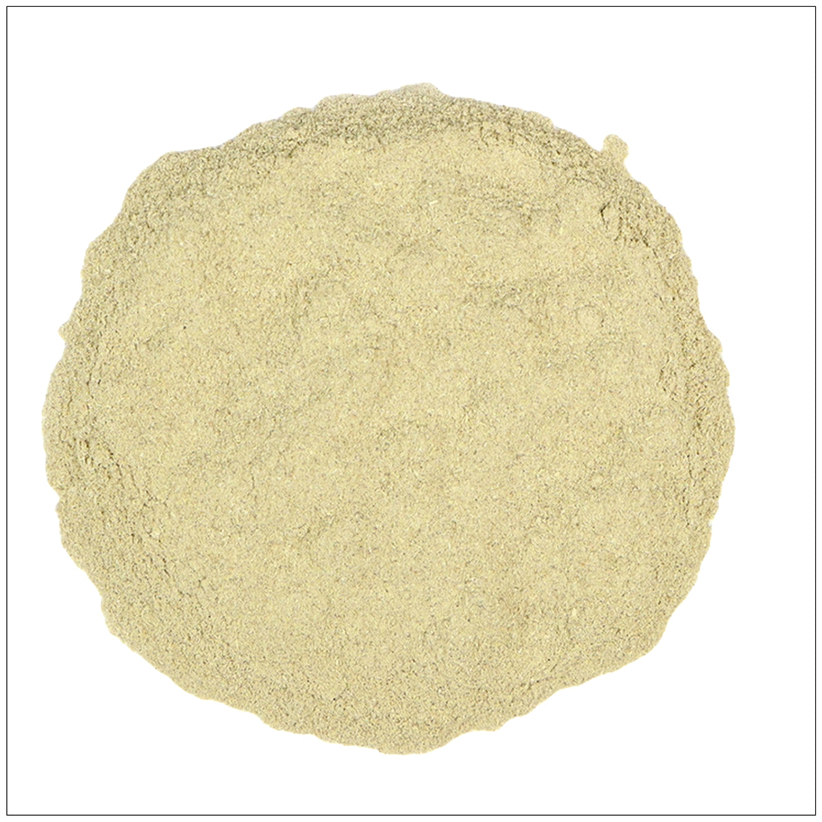 Suma root powder in a wooden spoon on a rustic background, an energizing adaptogen herb supplement.