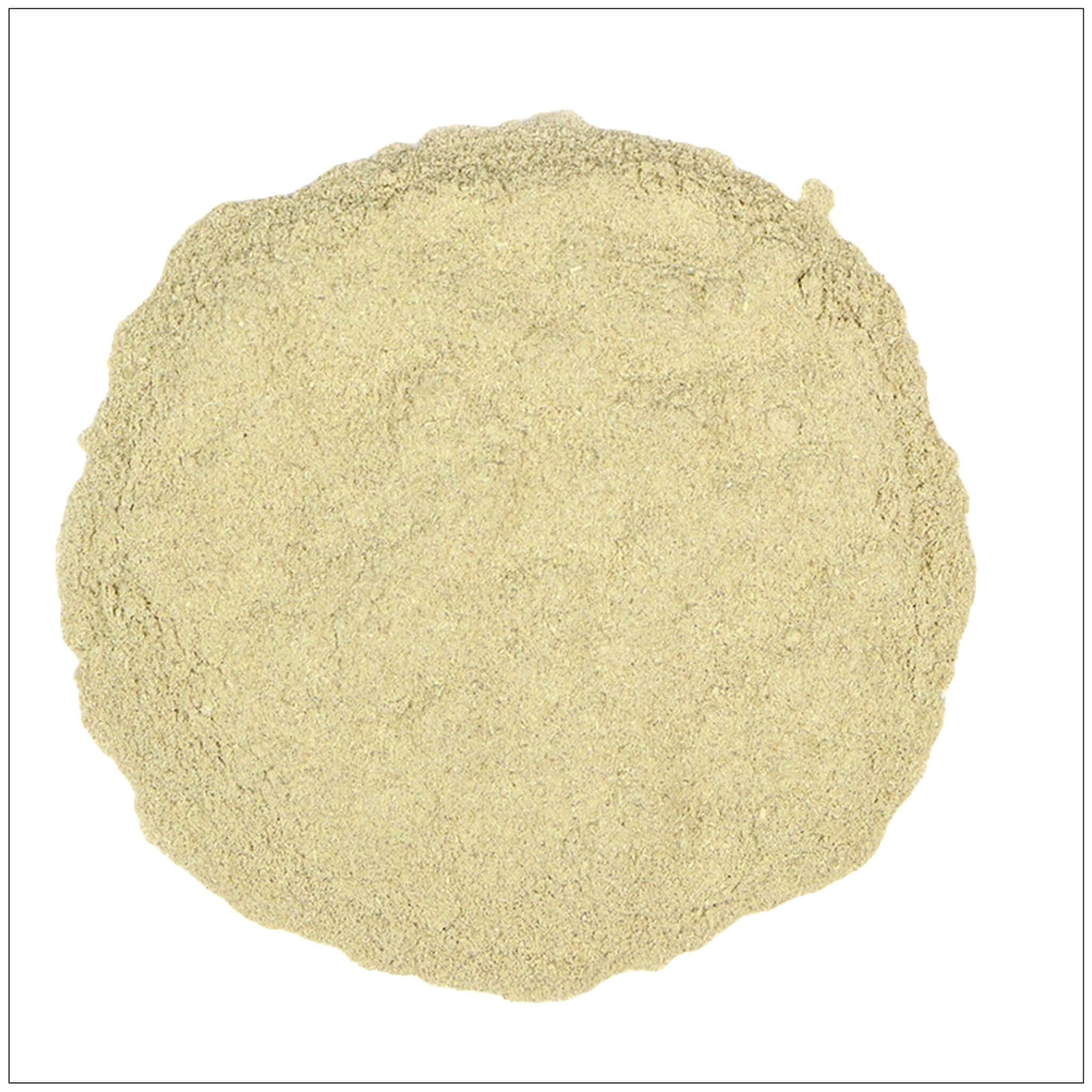 Suma root powder in a wooden spoon on a rustic background, an energizing adaptogen herb supplement.