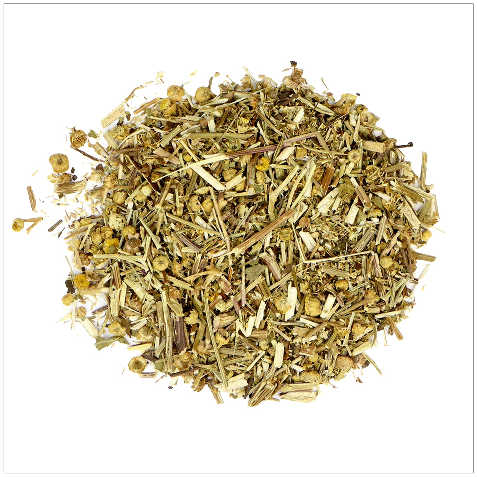 Fresh Tansy herb with feathery green leaves and yellow button-like flowers, used in natural remedies.