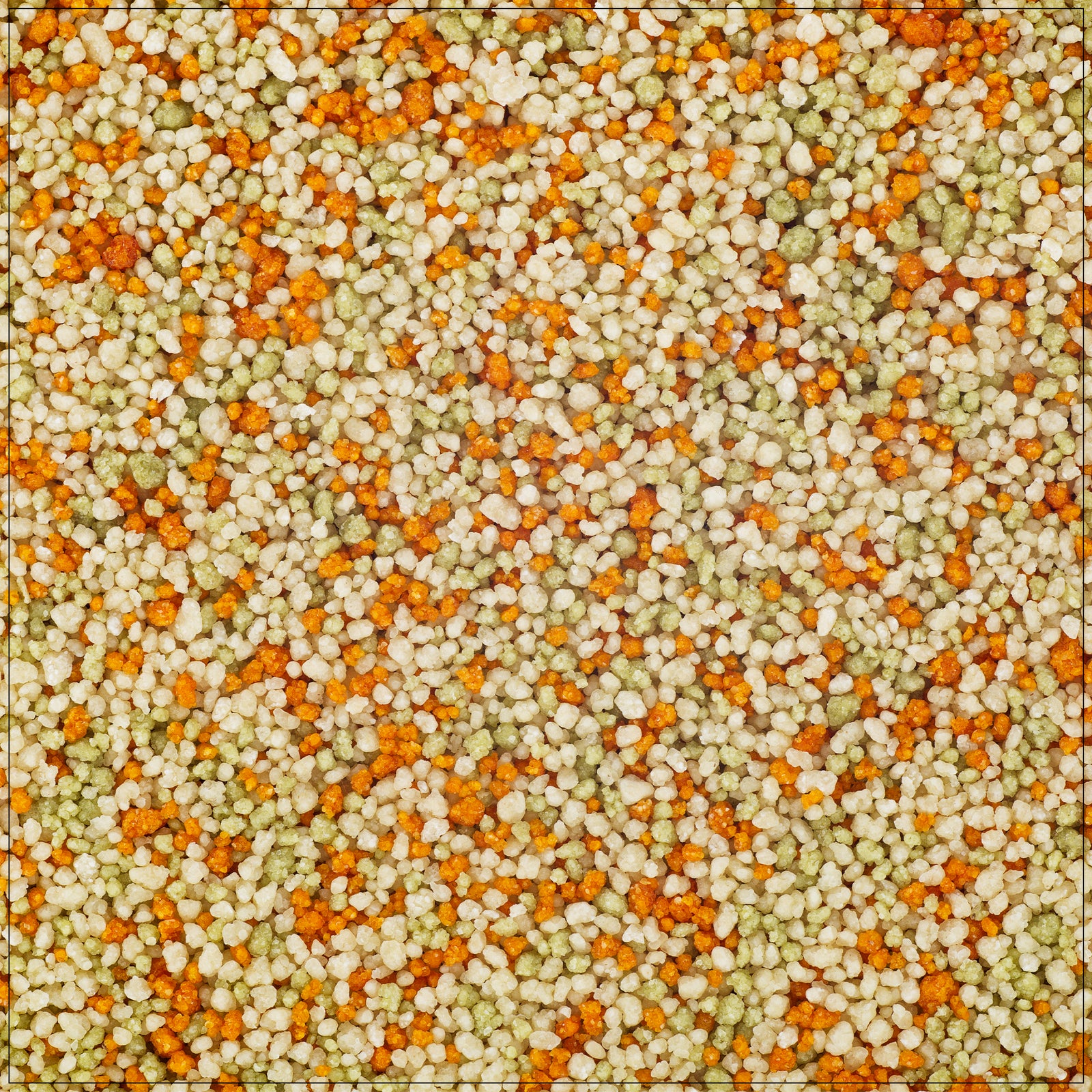 Tri-color pasta couscous with vibrant vegetables, perfect for healthy meals and quick cooking