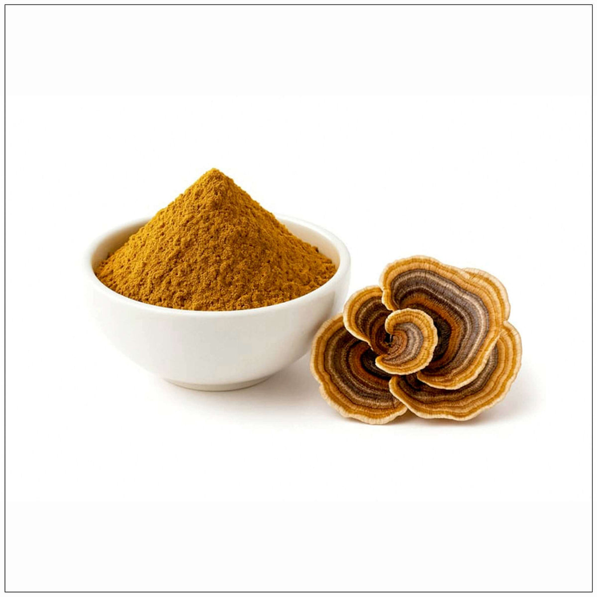 Turkey Tail Mushroom Powder