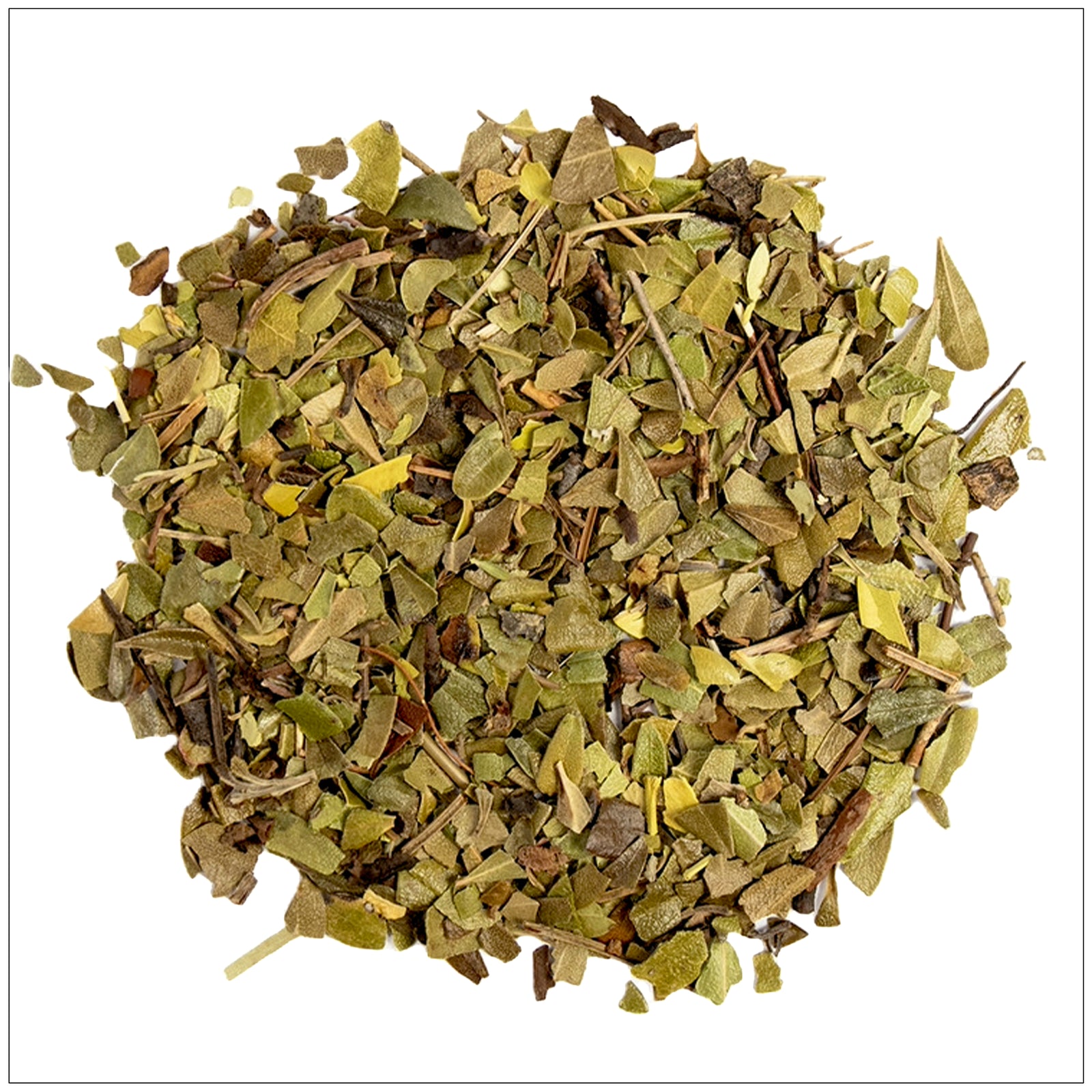 Dried Uva Ursi leaf used in herbal remedies to support urinary tract health and bladder function.