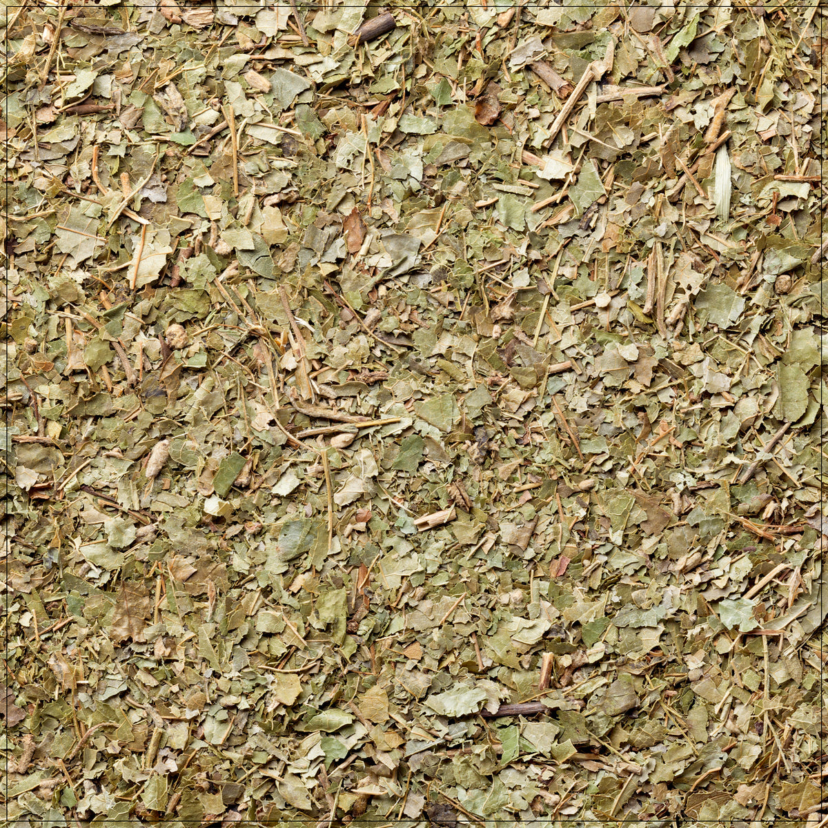 Dried witch hazel leaves used in natural skincare and soothing herbal remedies for inflammation.