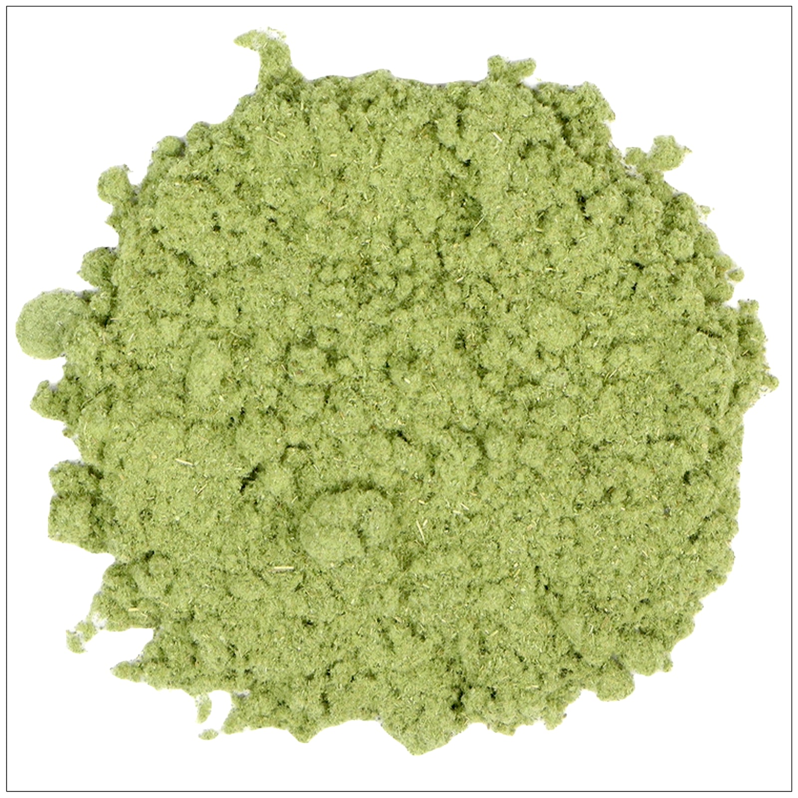 Wormwood powder in a clear jar, used for digestive health, herbal teas, and natural wellness remedies.