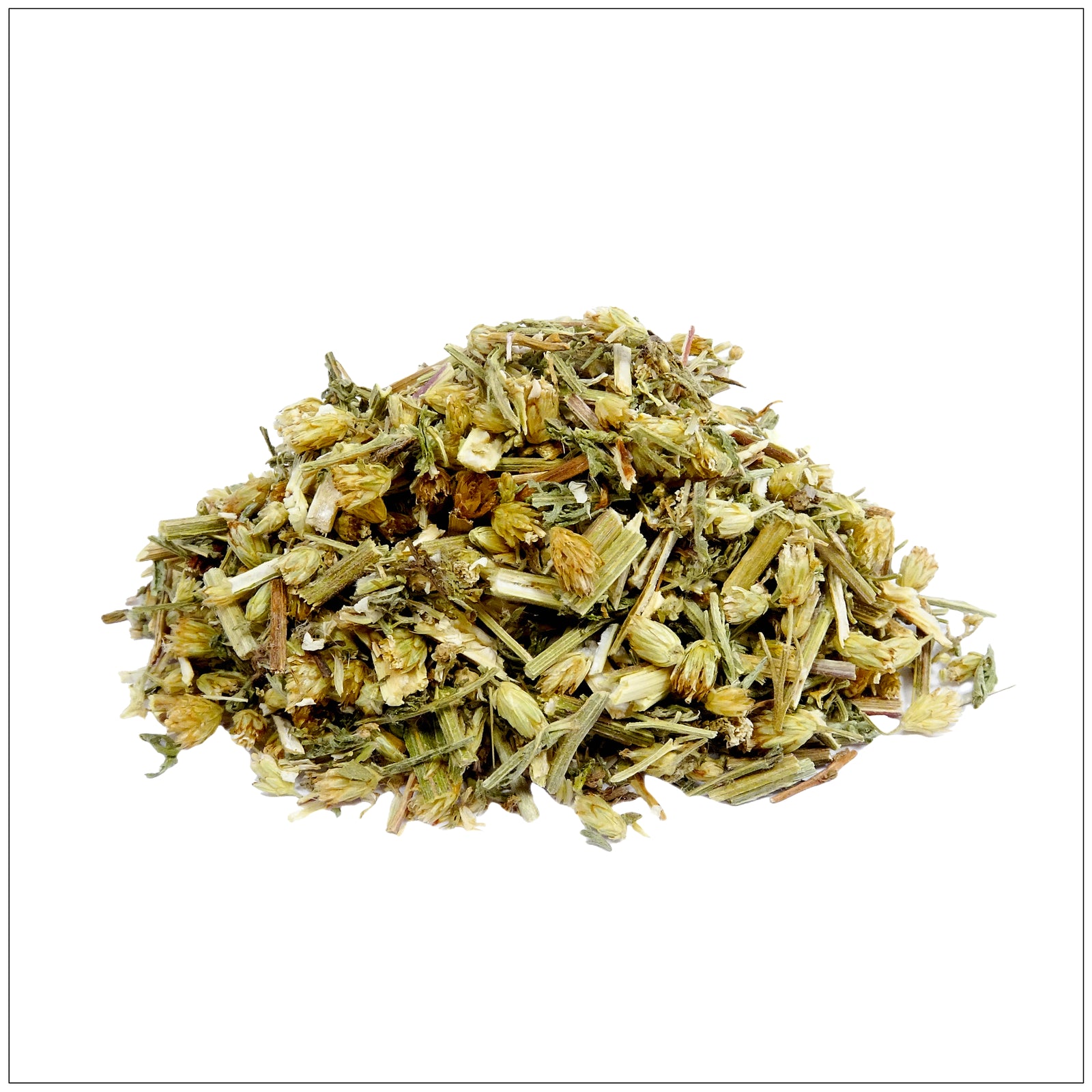 Close-up of blooming yarrow flowers with delicate white petals in a sunny garden setting.