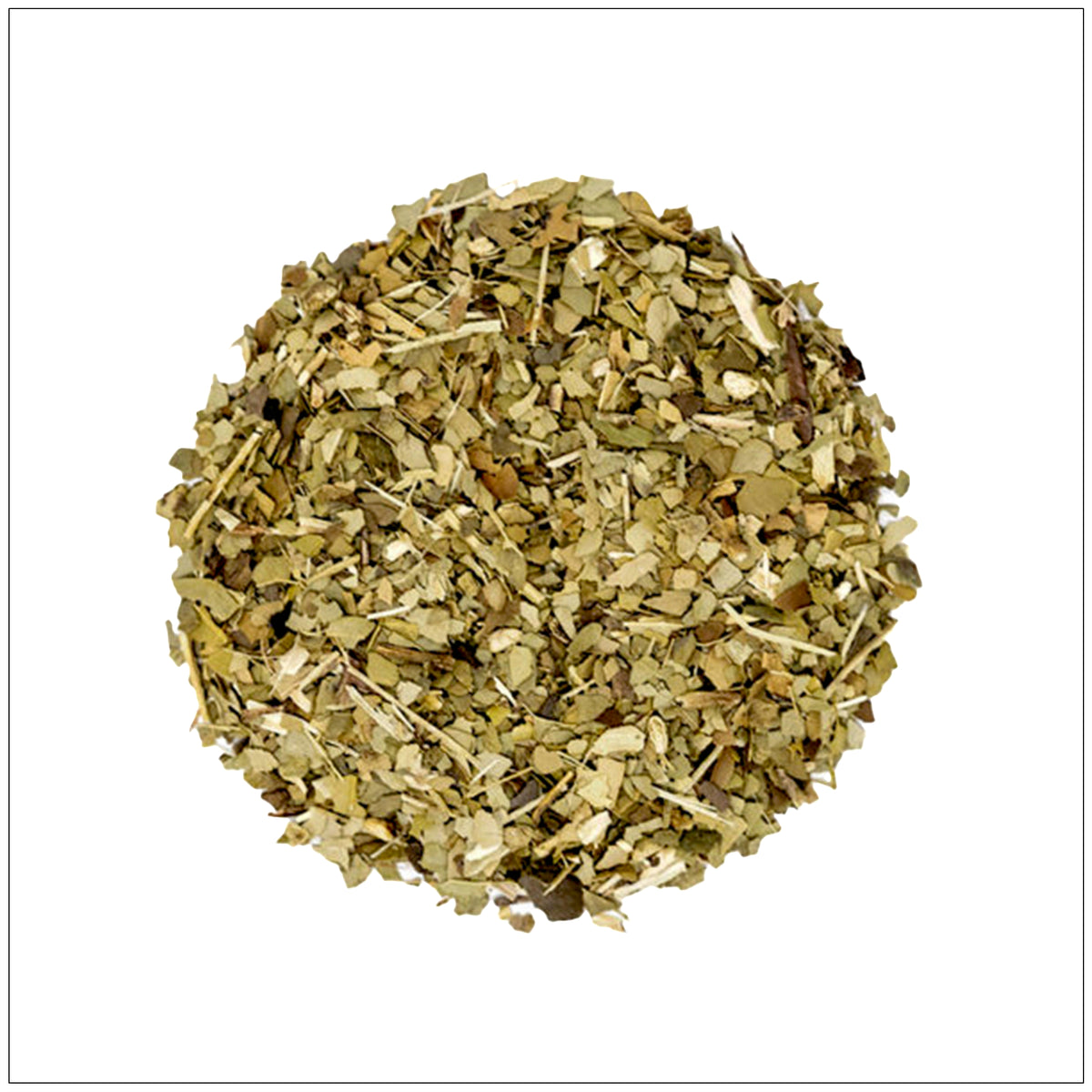 Yerba mate tea buy from the health food store in the USA - Alive Herbals