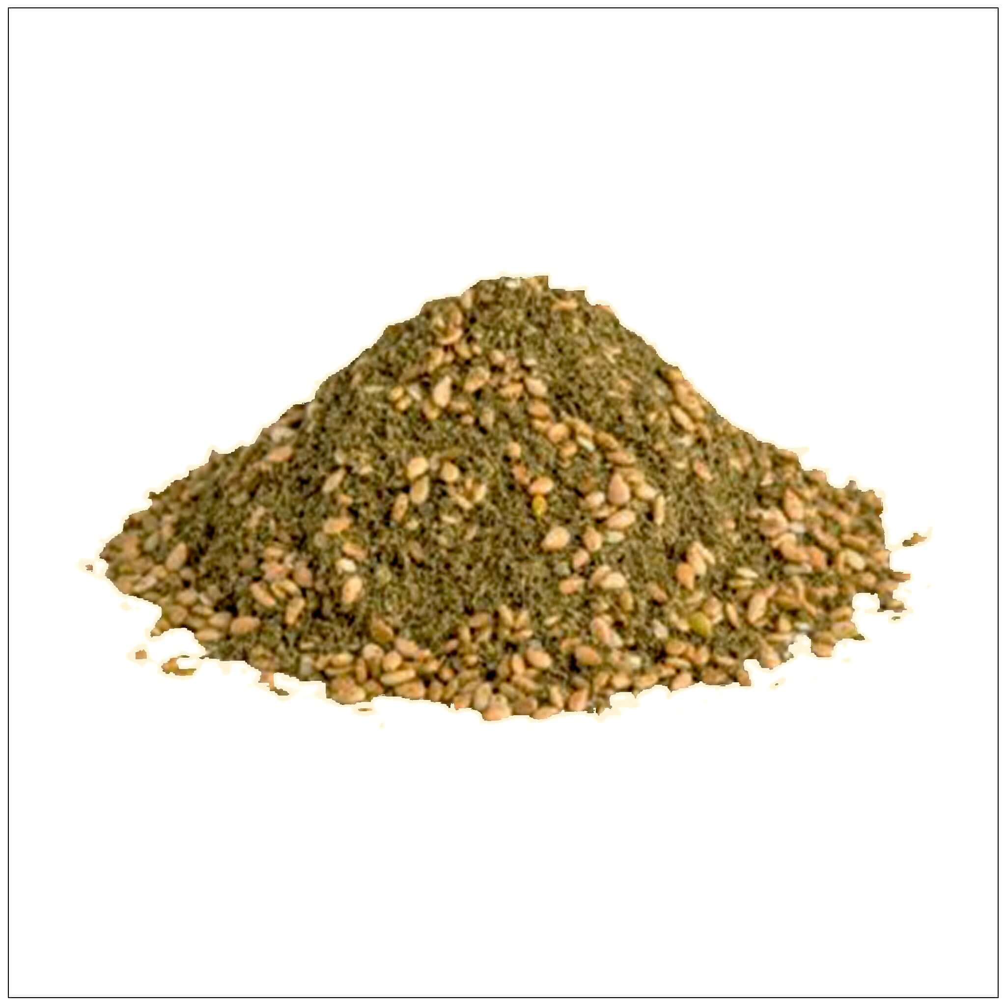 zaatar plant seeds Zaatar: Aromatic Spice Blend for Every Dish